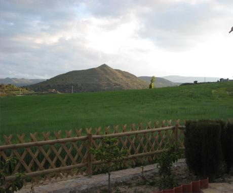 Photo 22
