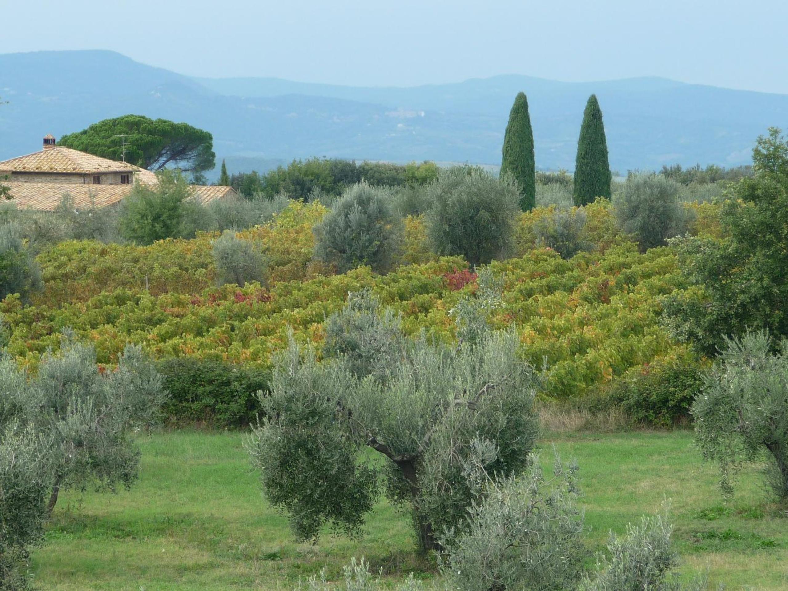 Castel Brunello