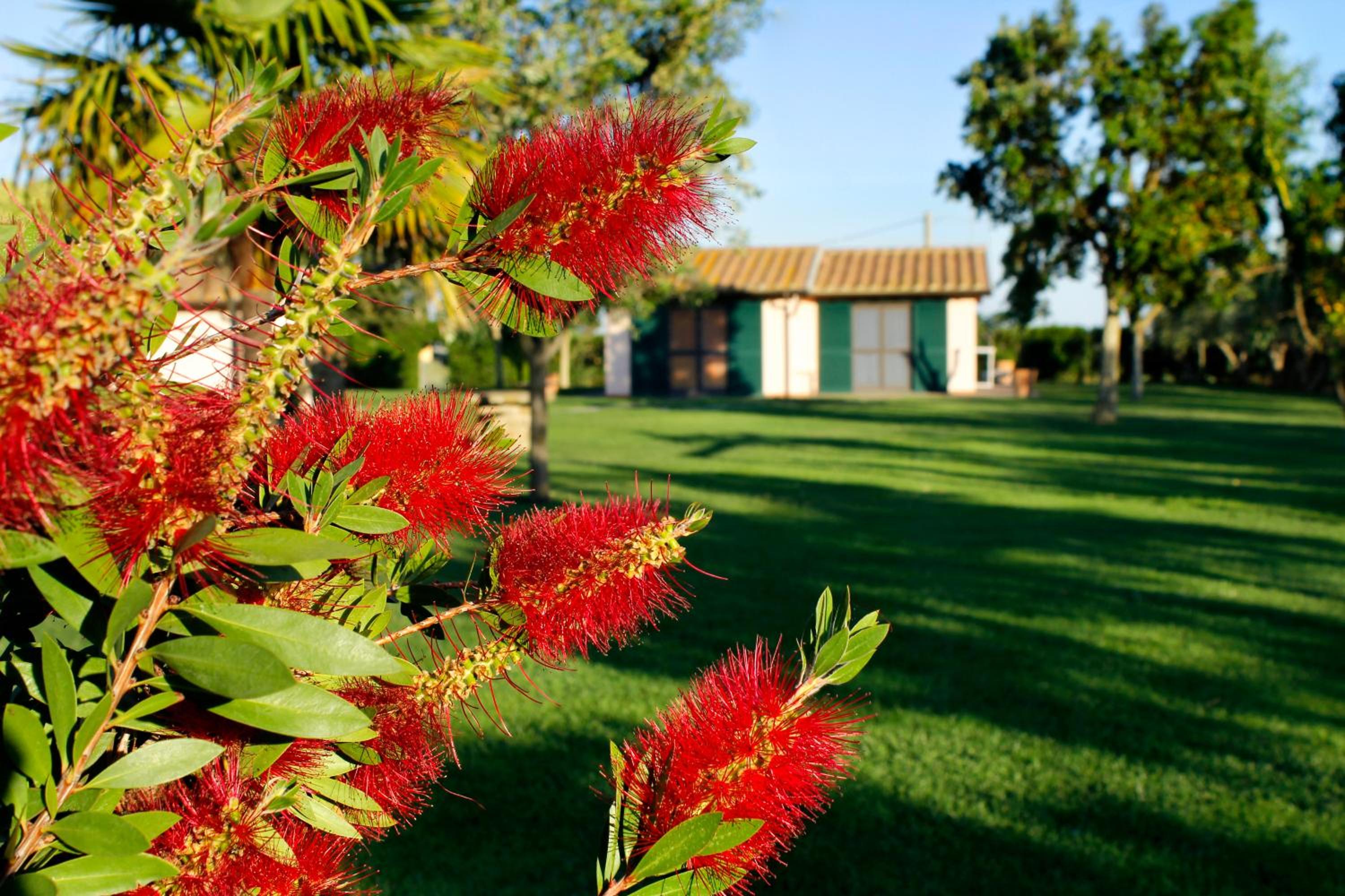 Agriturismo Bocci