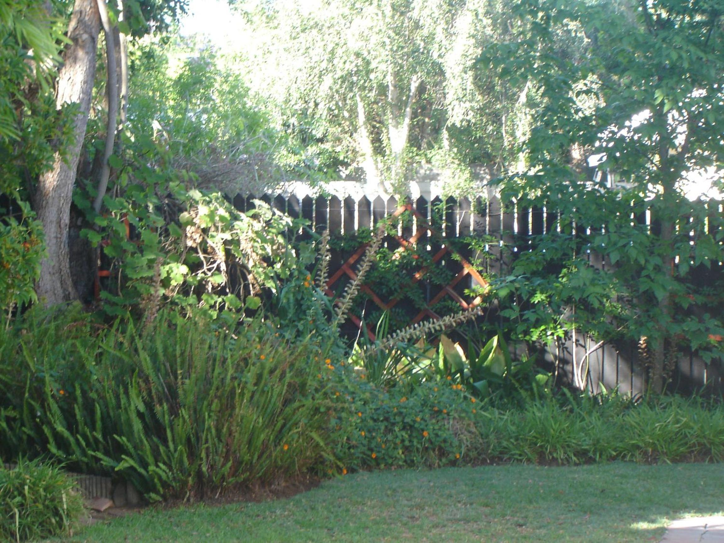 Photo 10