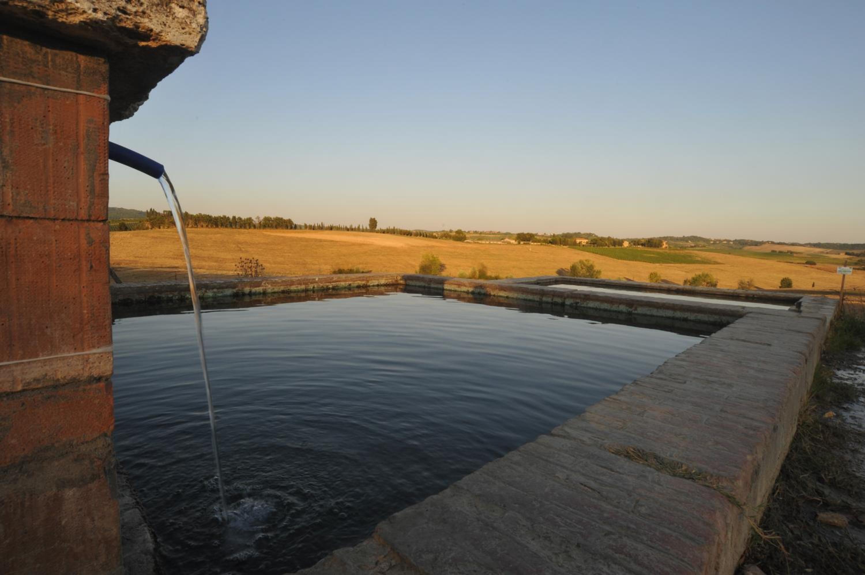 Fattoria Lornano Winery