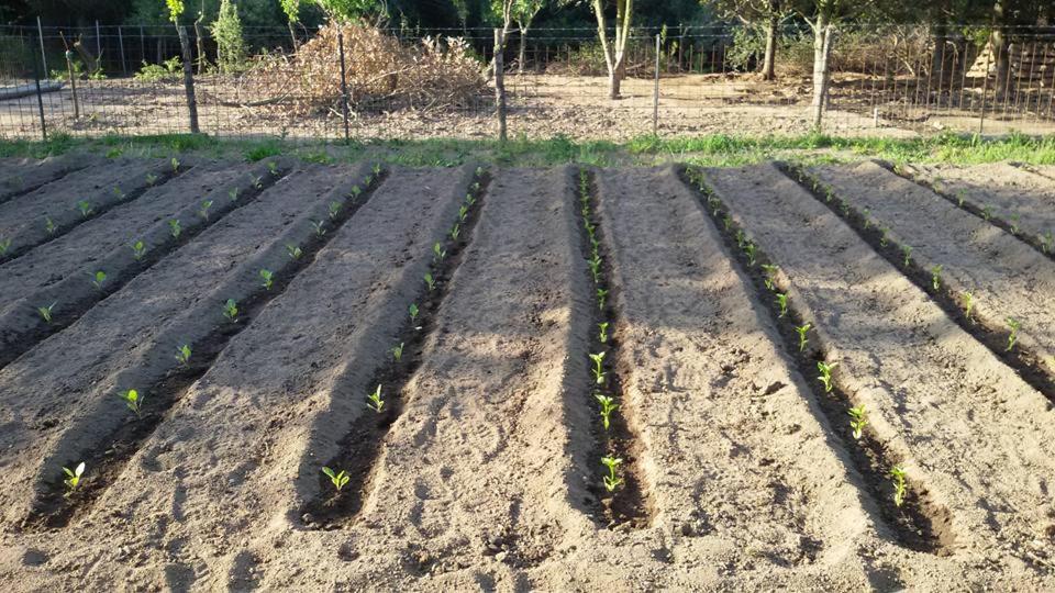 Photo 77