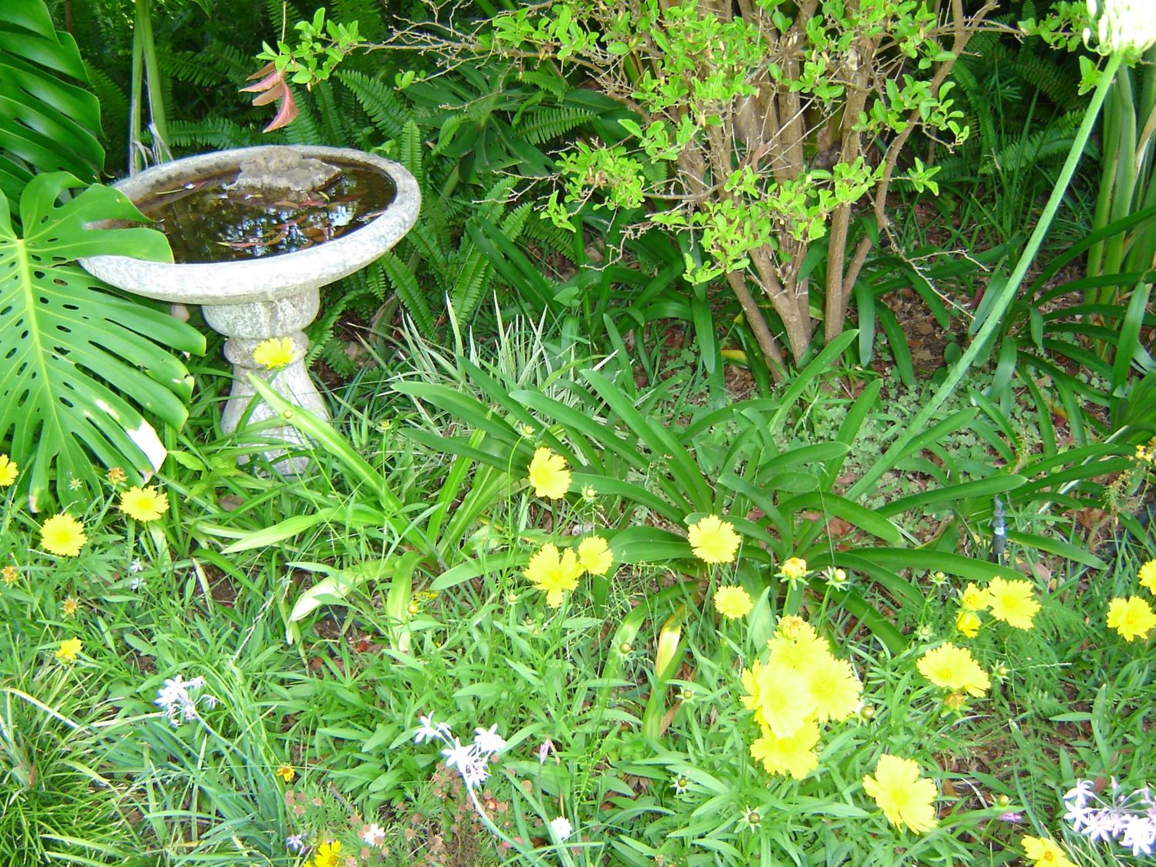 Photo 9