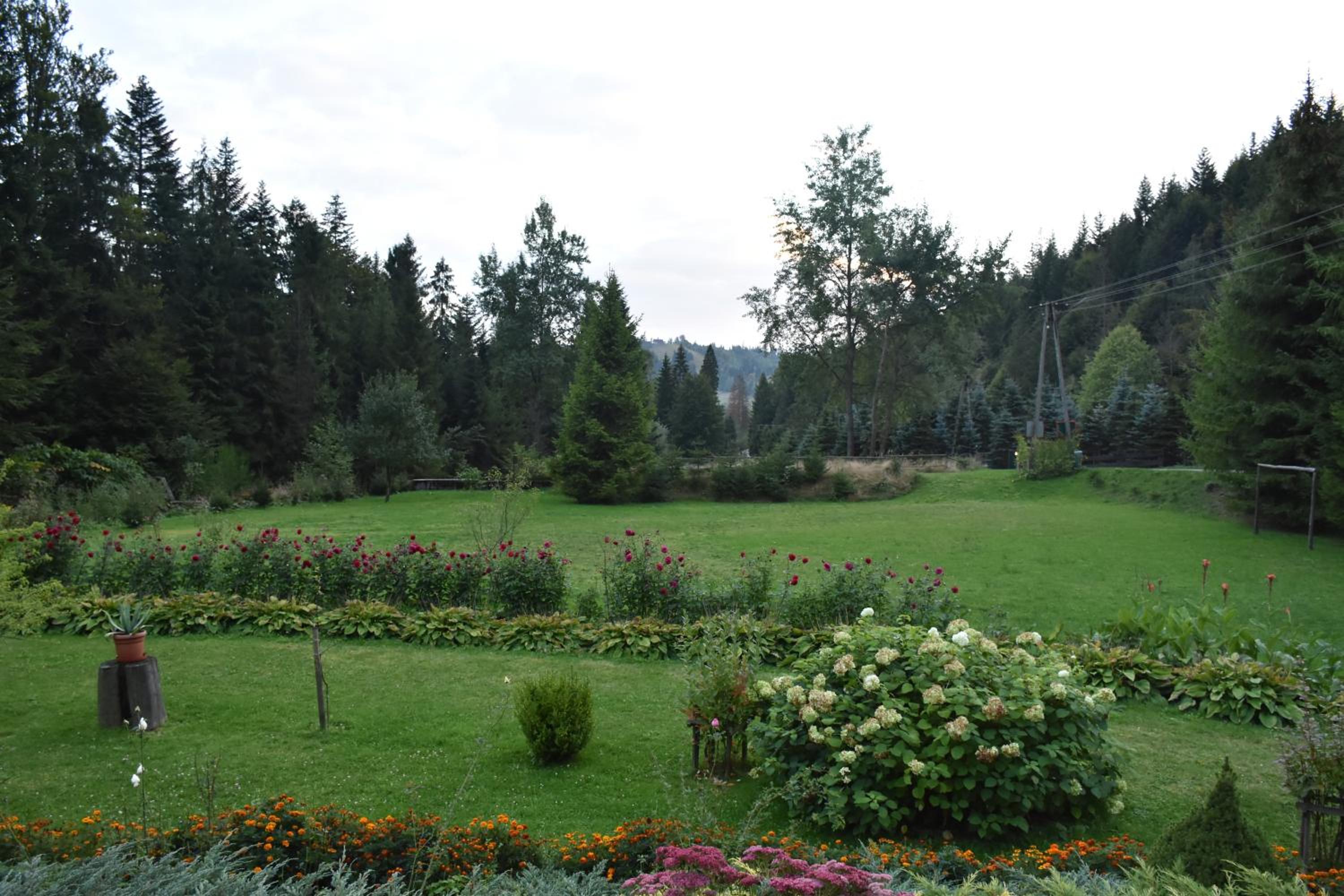 Photo 33