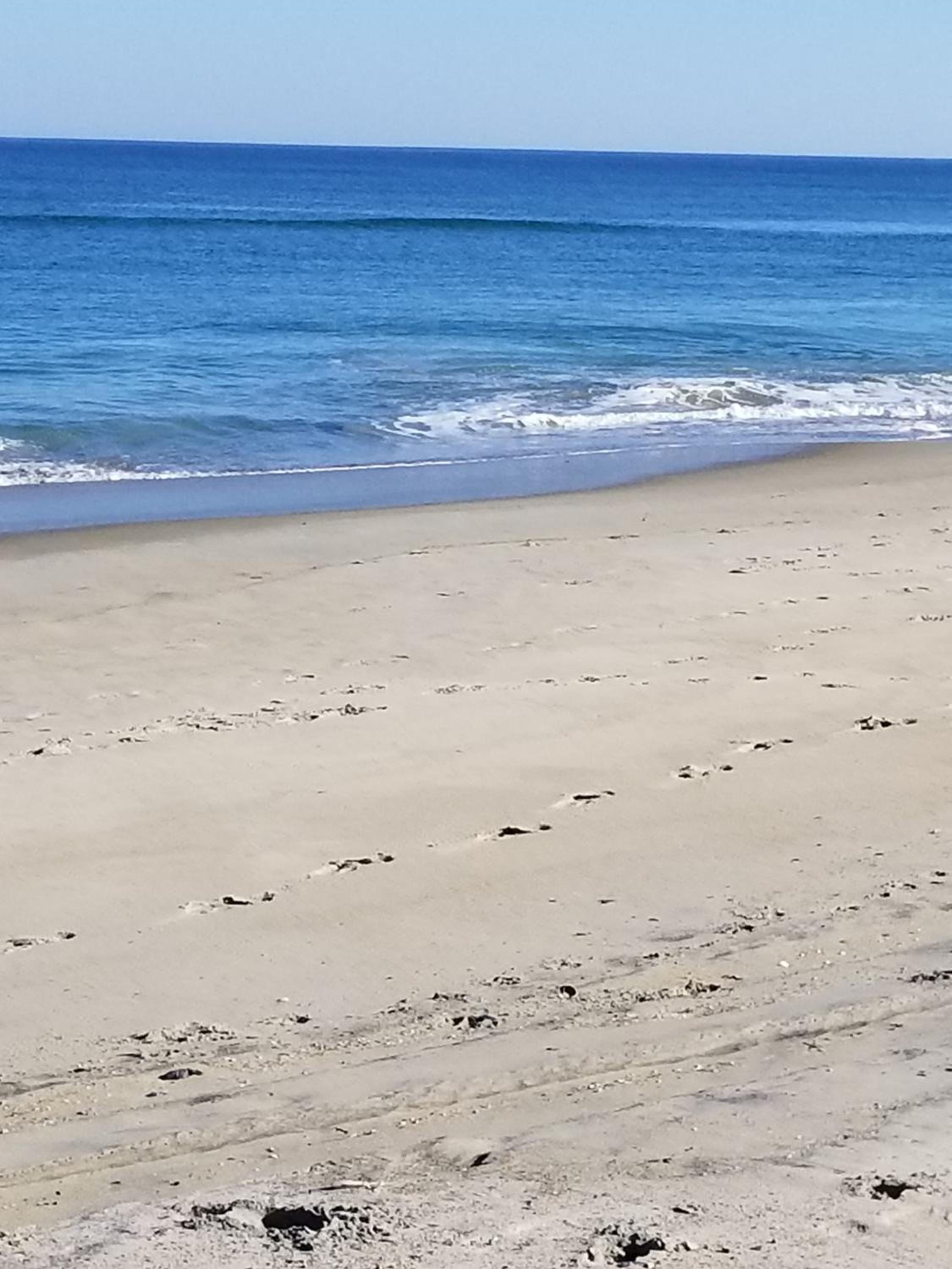 Ocean Pines Resort
