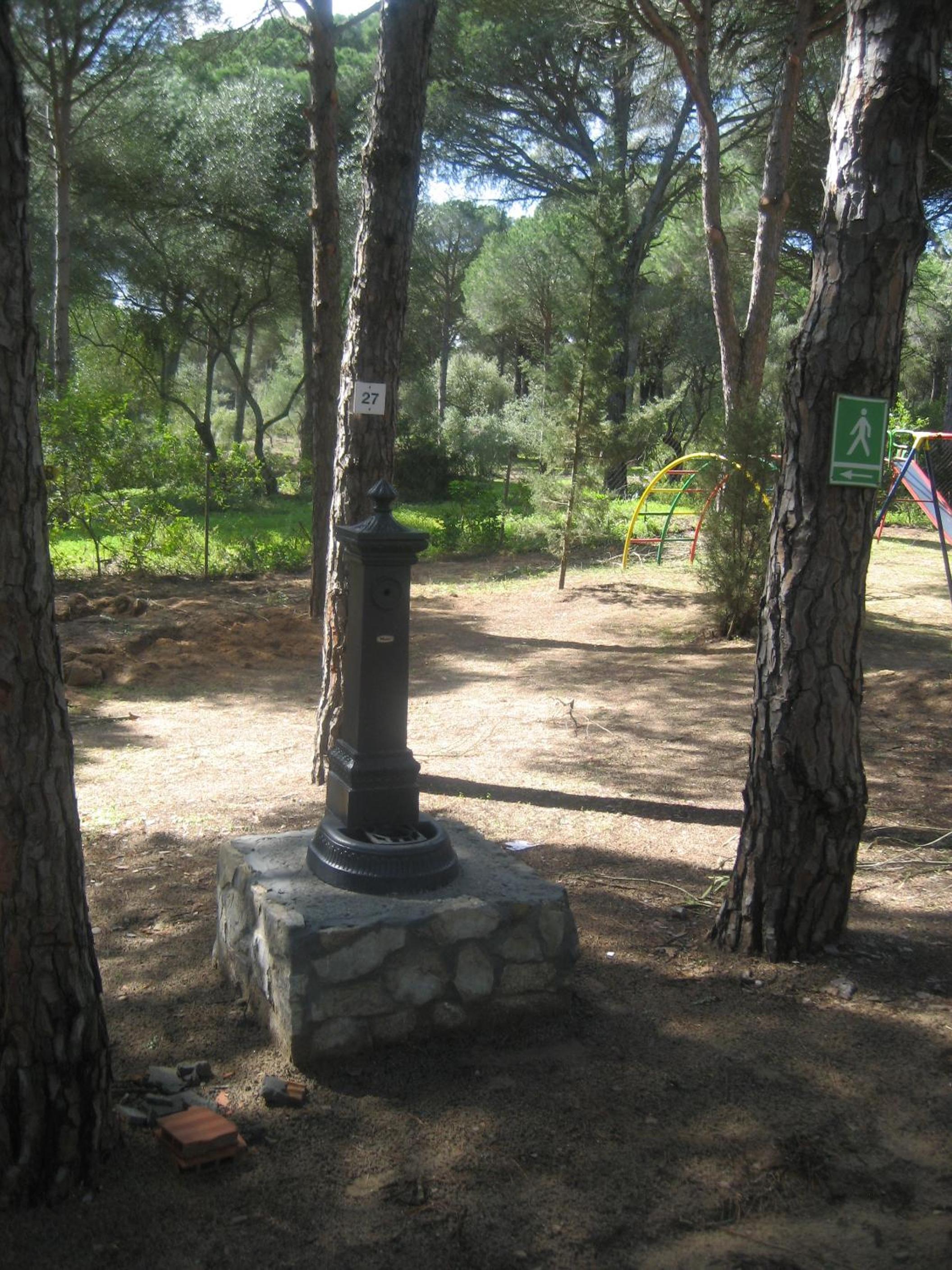 Photo 19