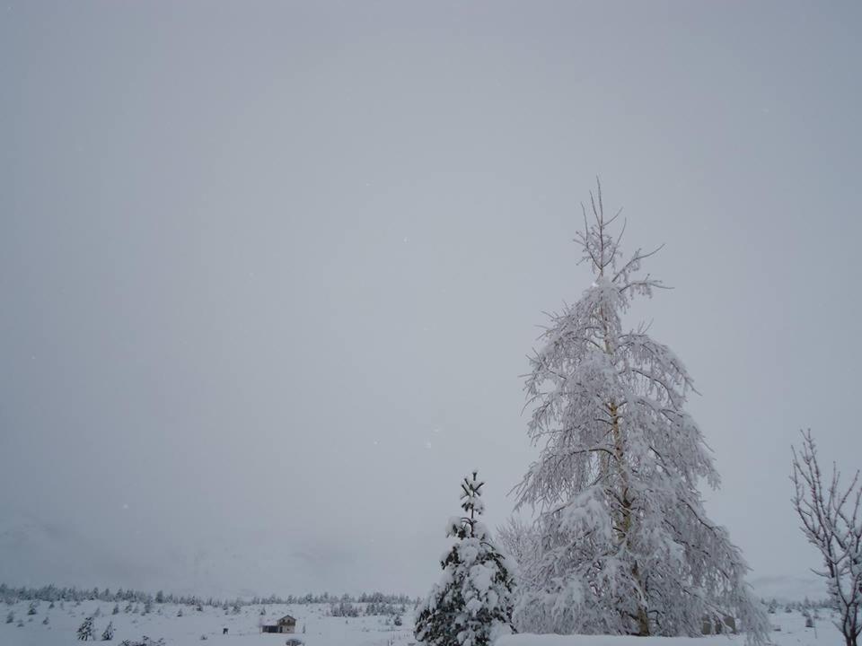 Vikendica Jela Blidinje