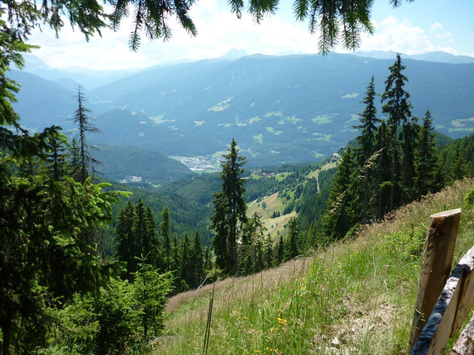 Photo 24