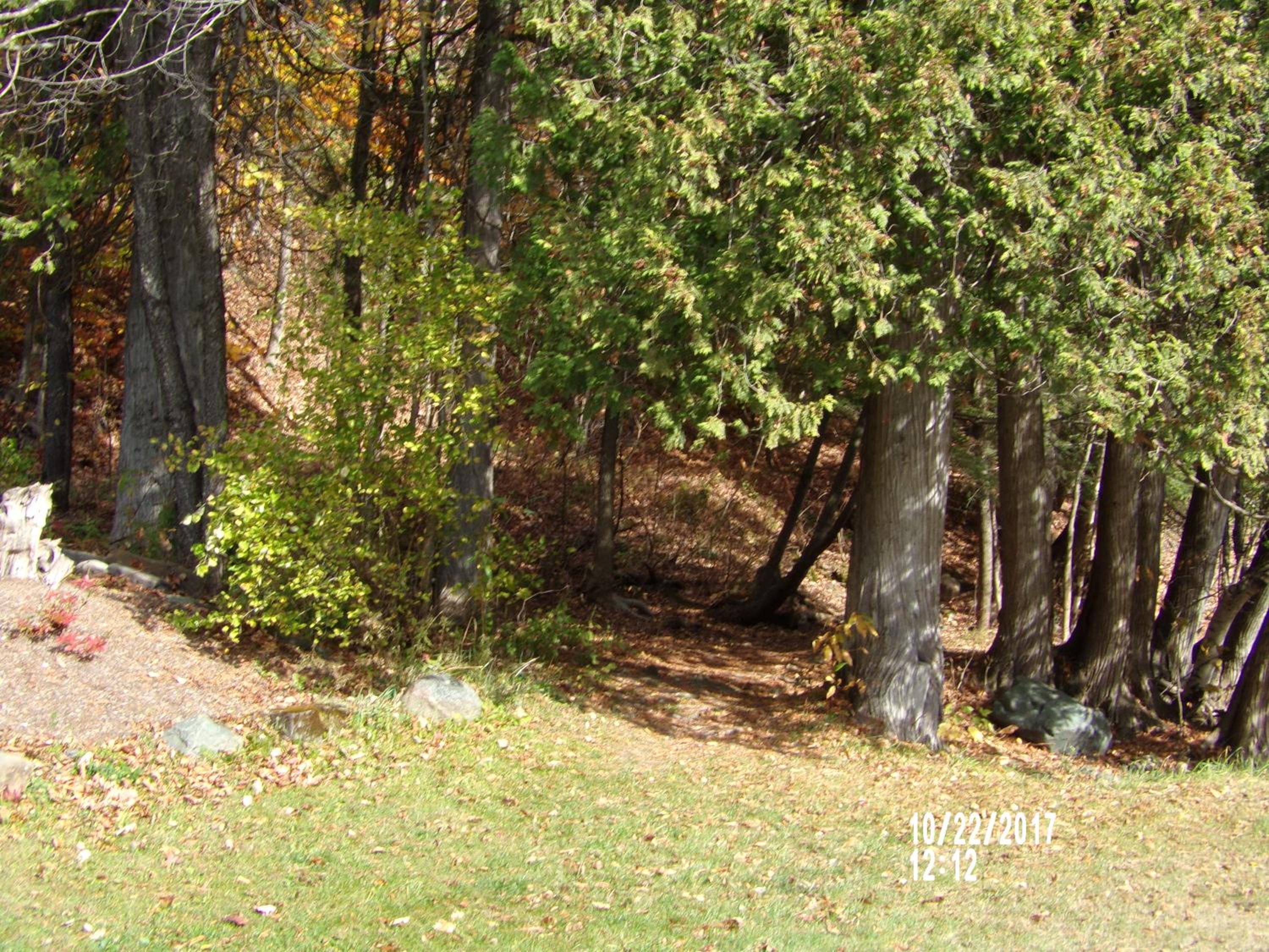 Pine Crest Motel & Cabins