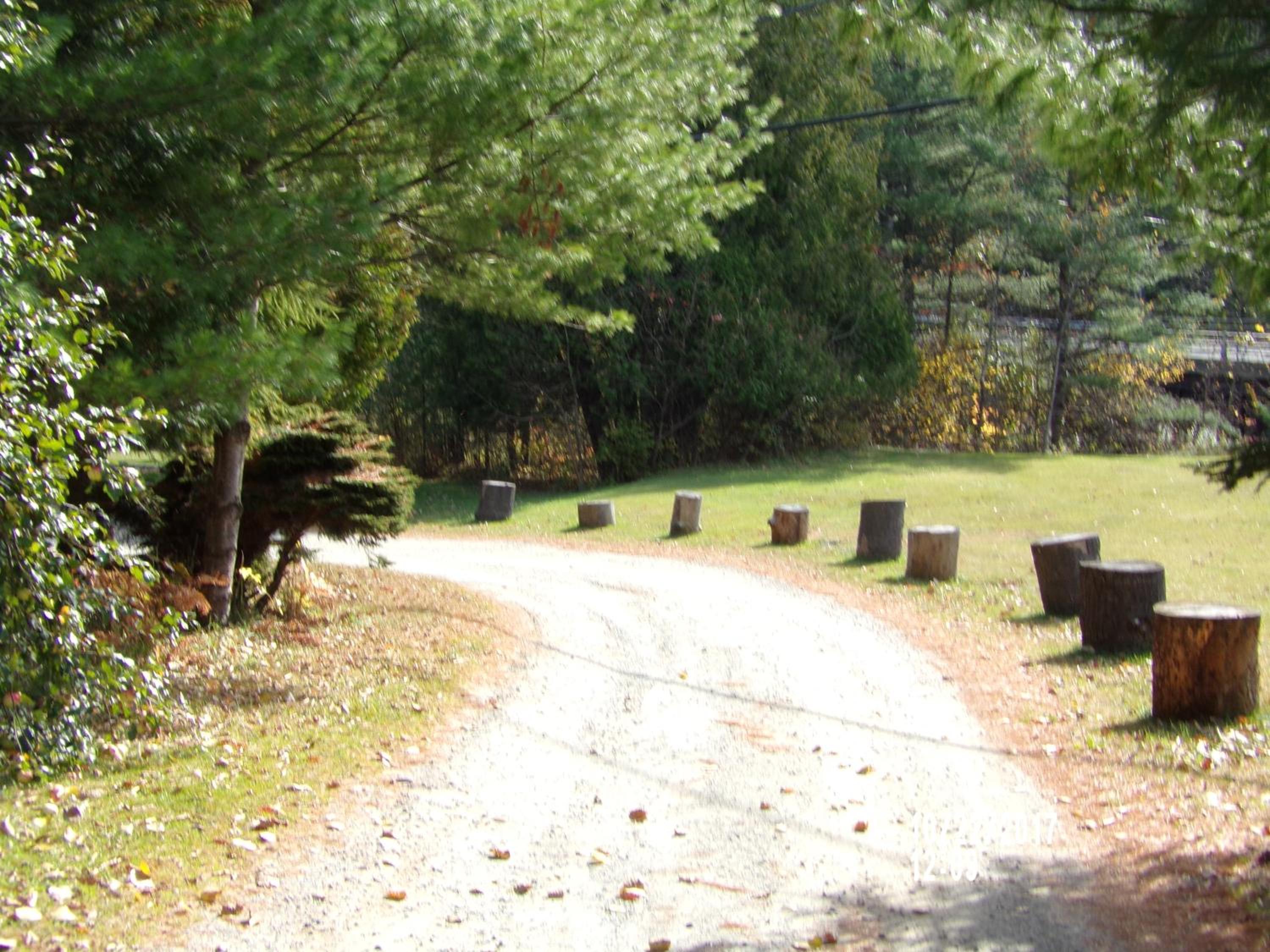 Pine Crest Motel & Cabins