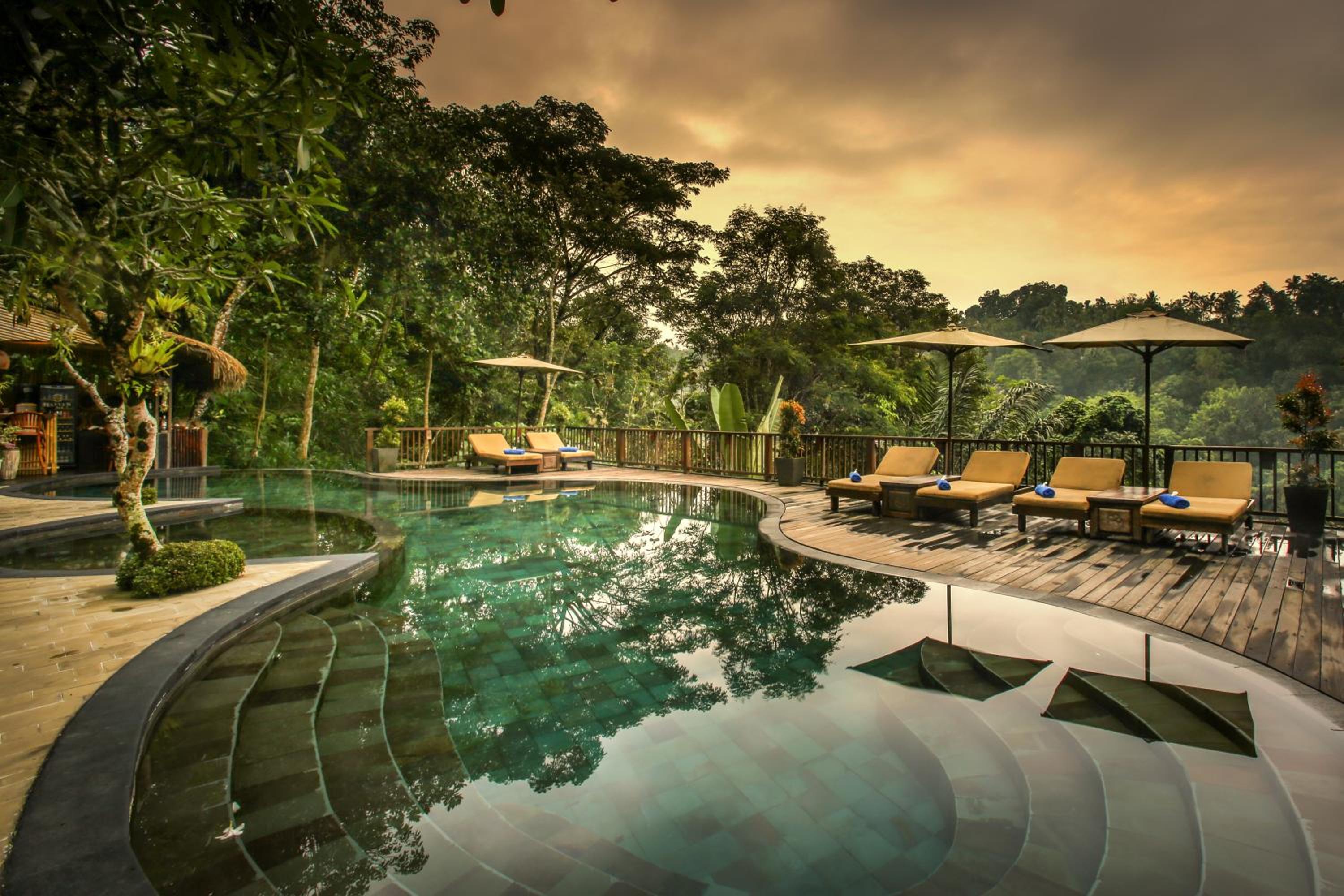 Nandini Jungle by Hanging Gardens