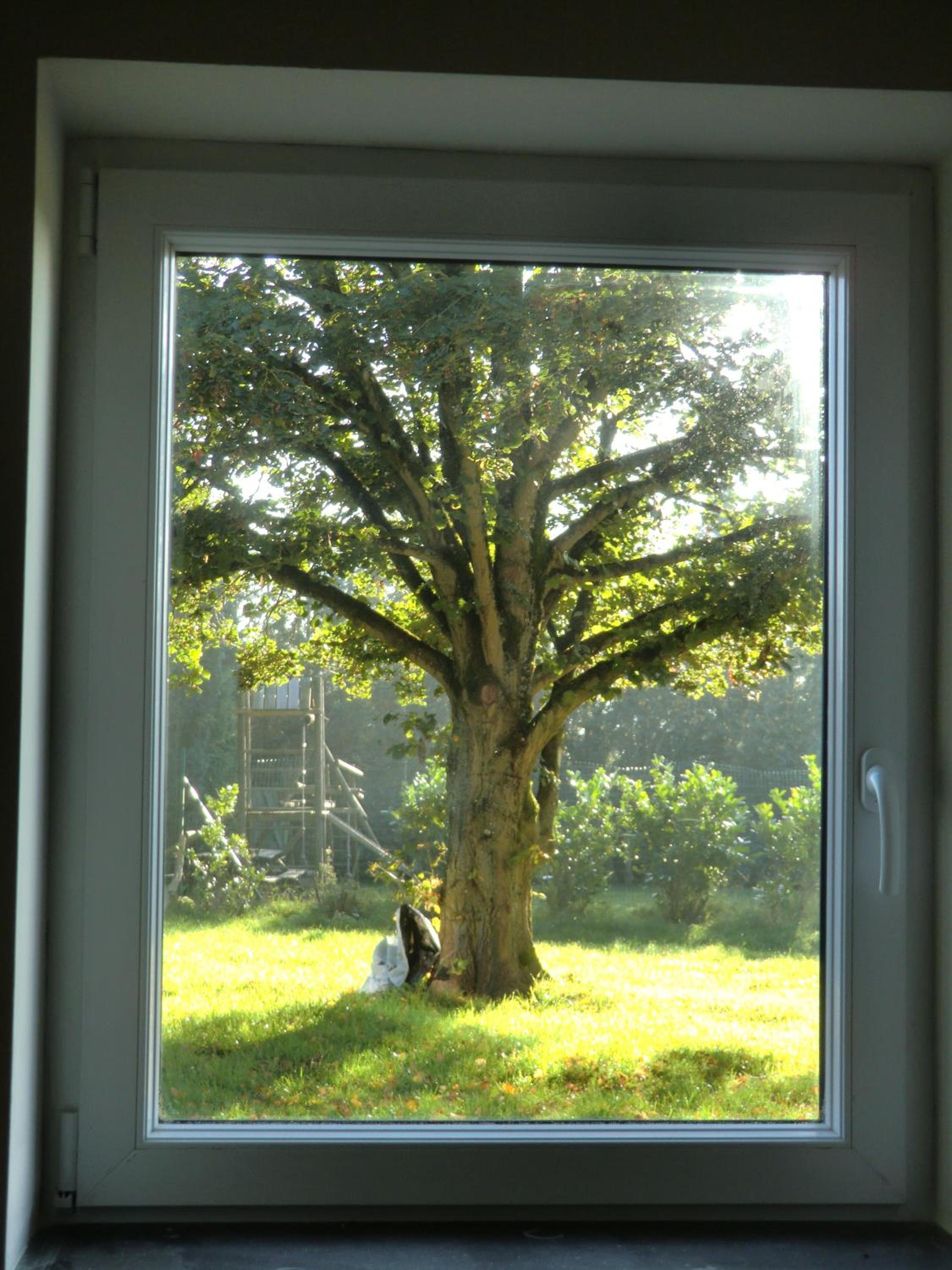 B&B Au Coeur de Villers