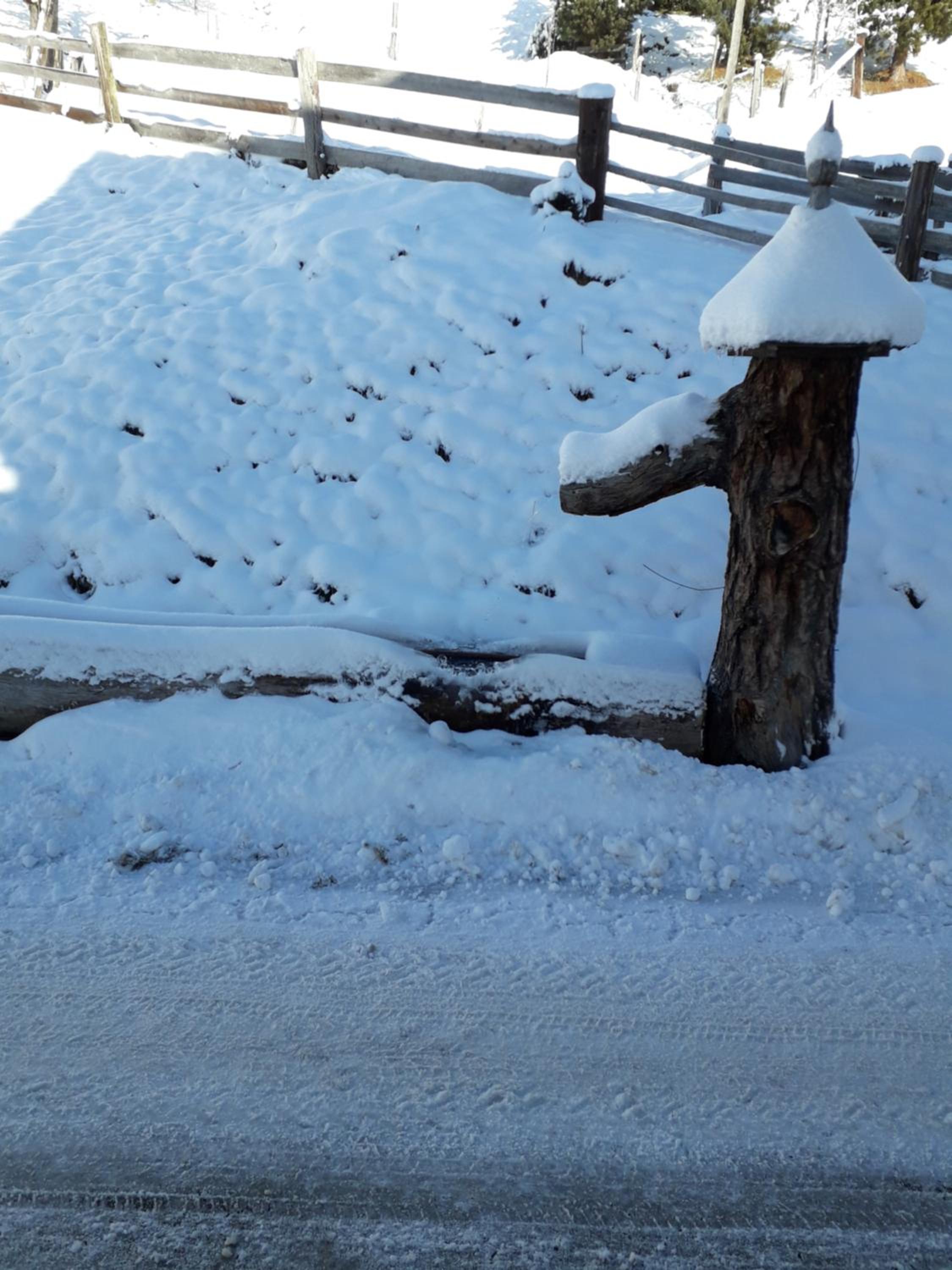 Pürstinghof