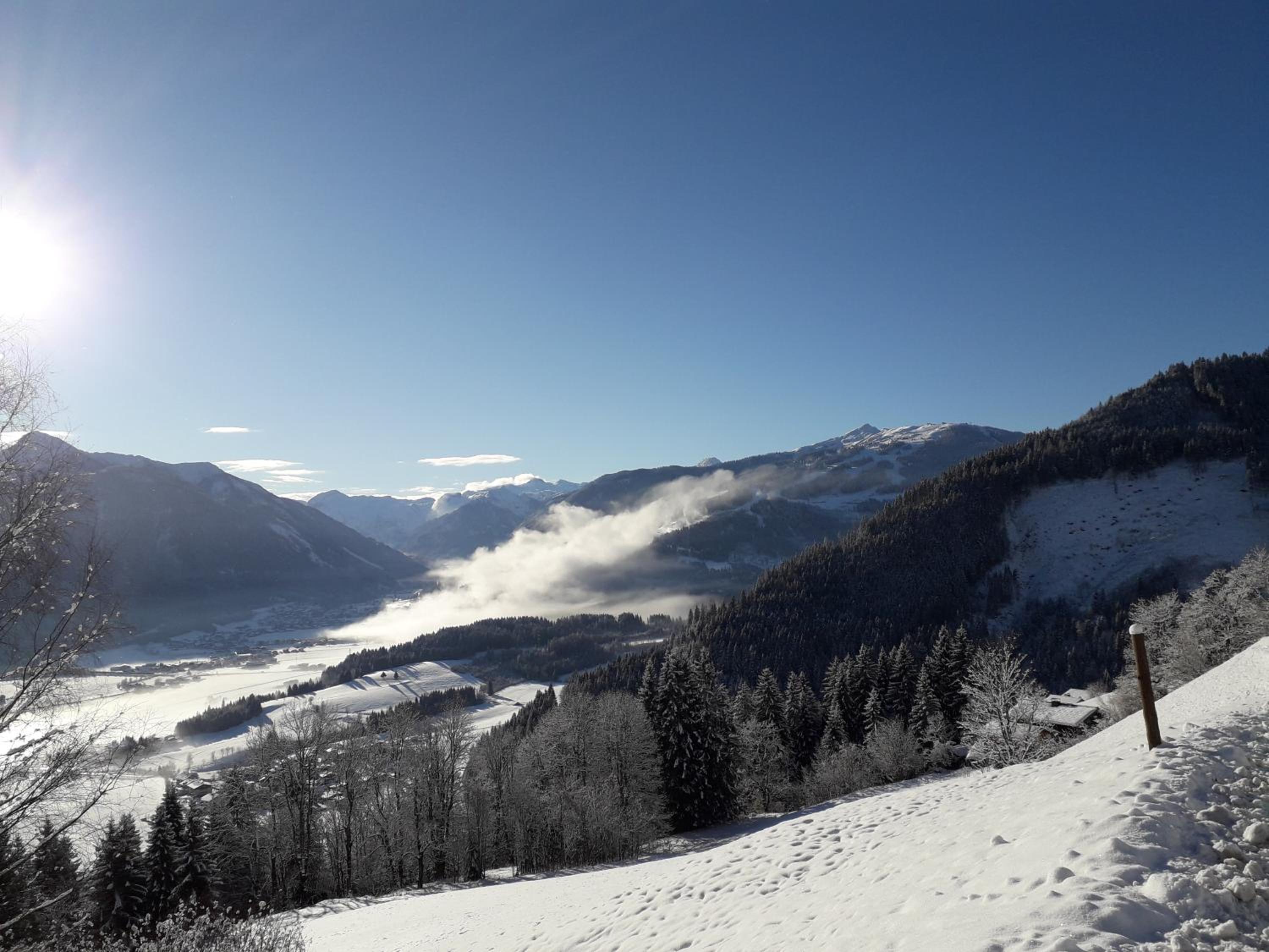 Pürstinghof