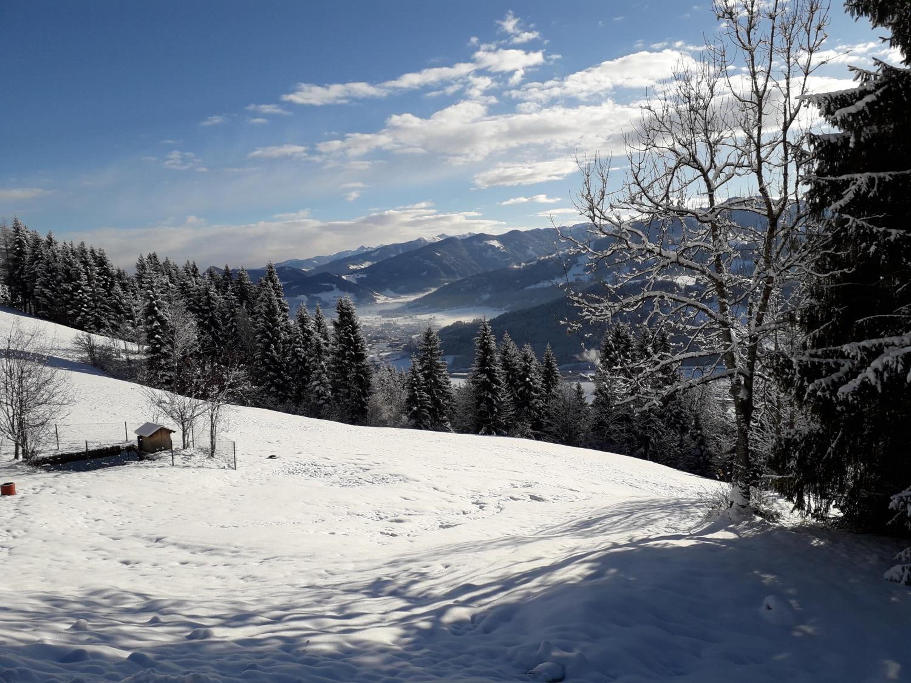 Pürstinghof