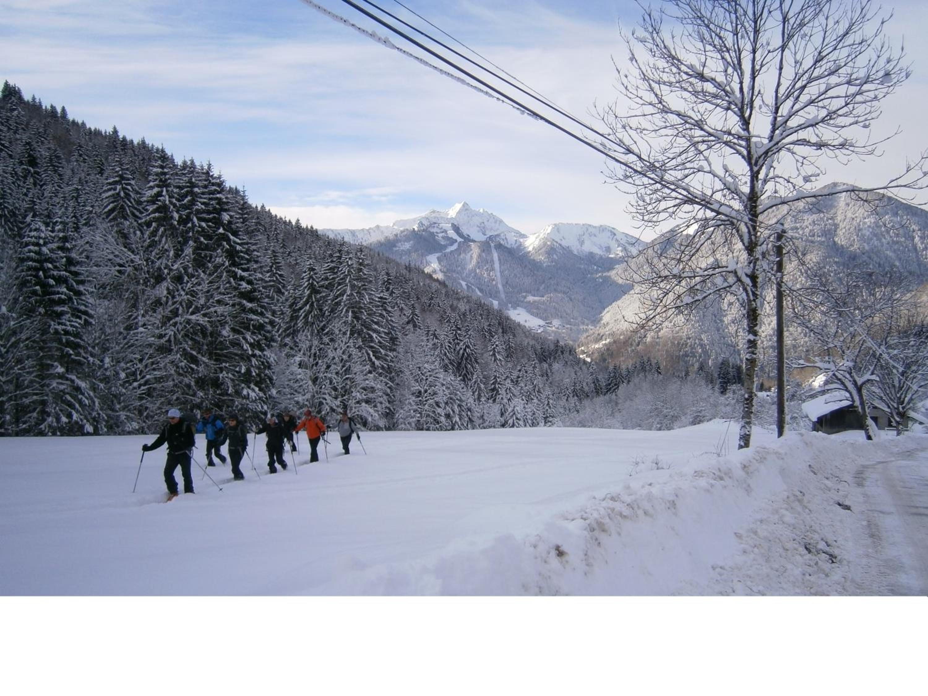 Chalet Fleur des Neiges view 5