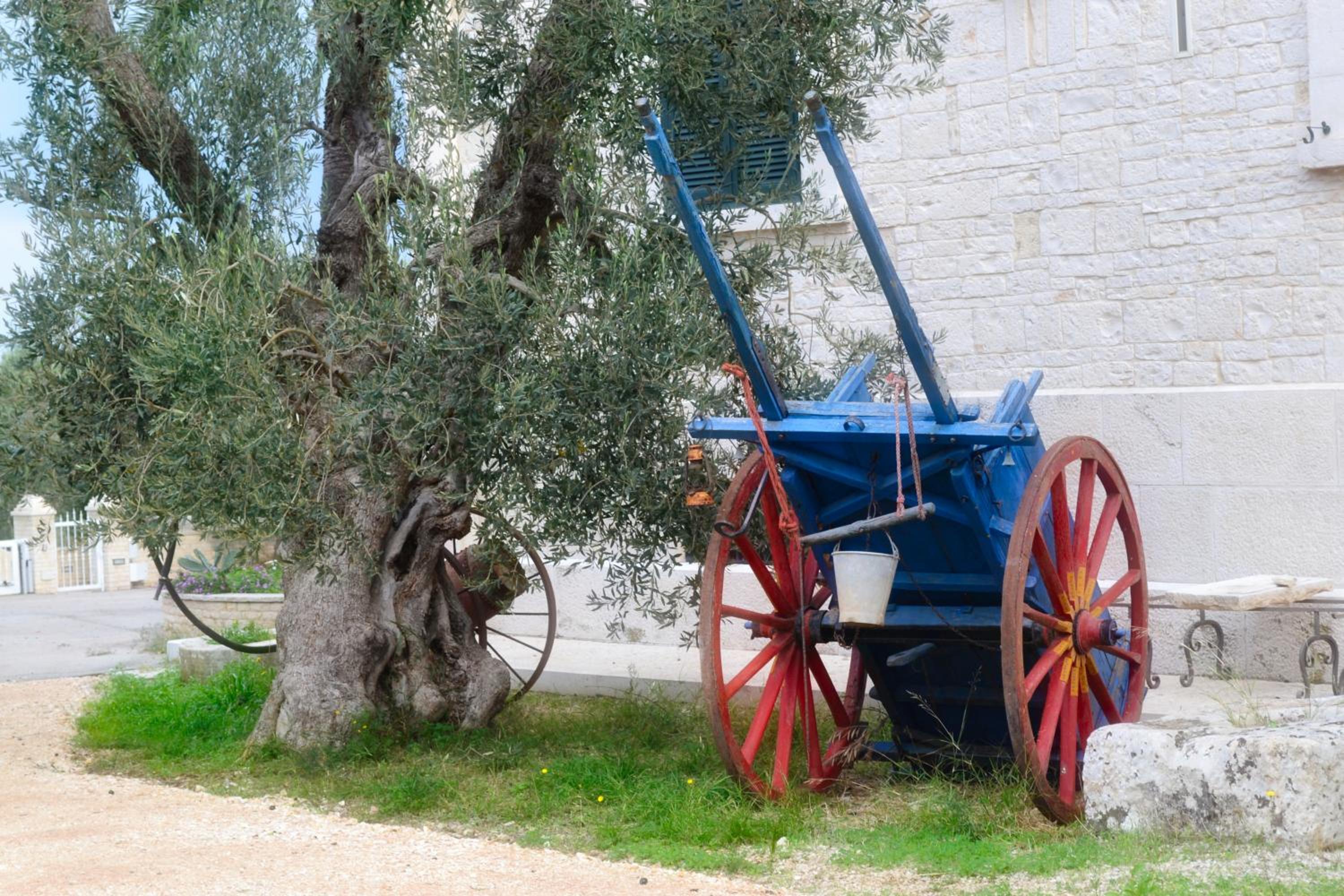 Tenuta Lama Gorga