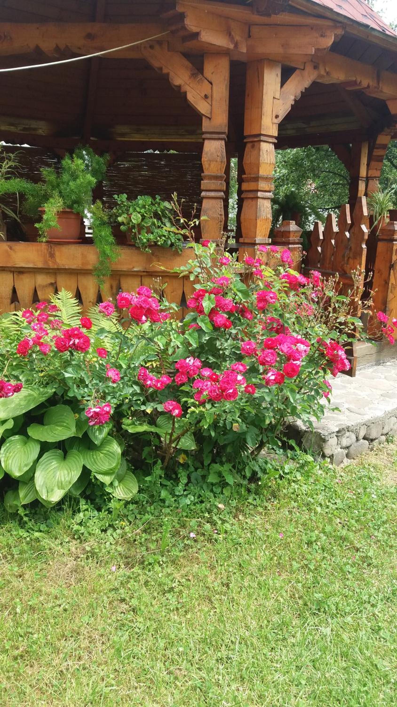 Photo 39