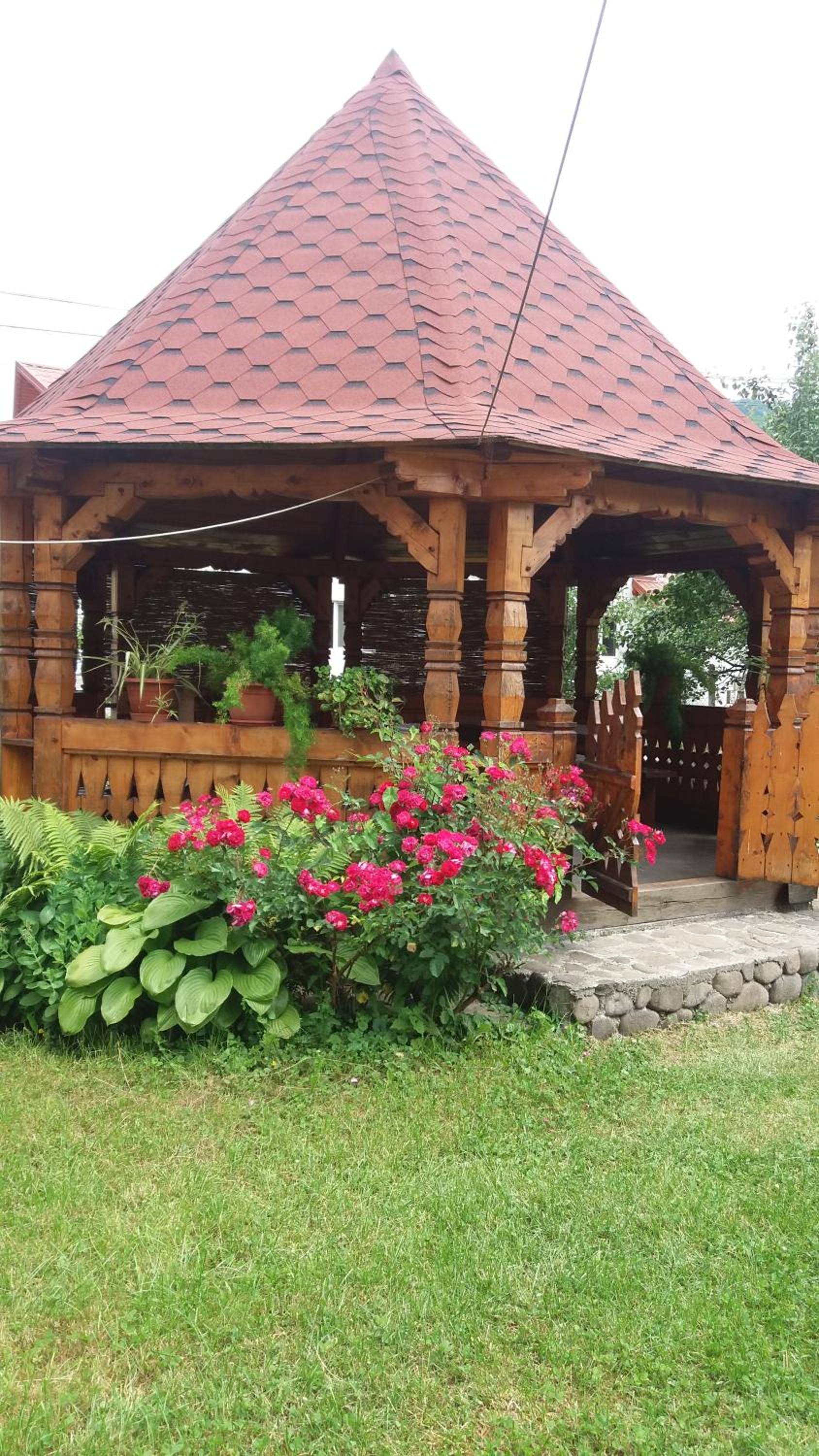 Photo 38