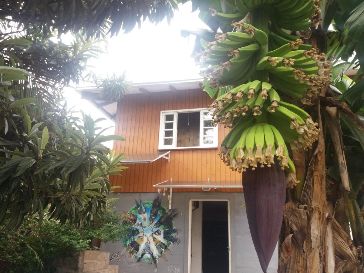Hostel Casa Terra