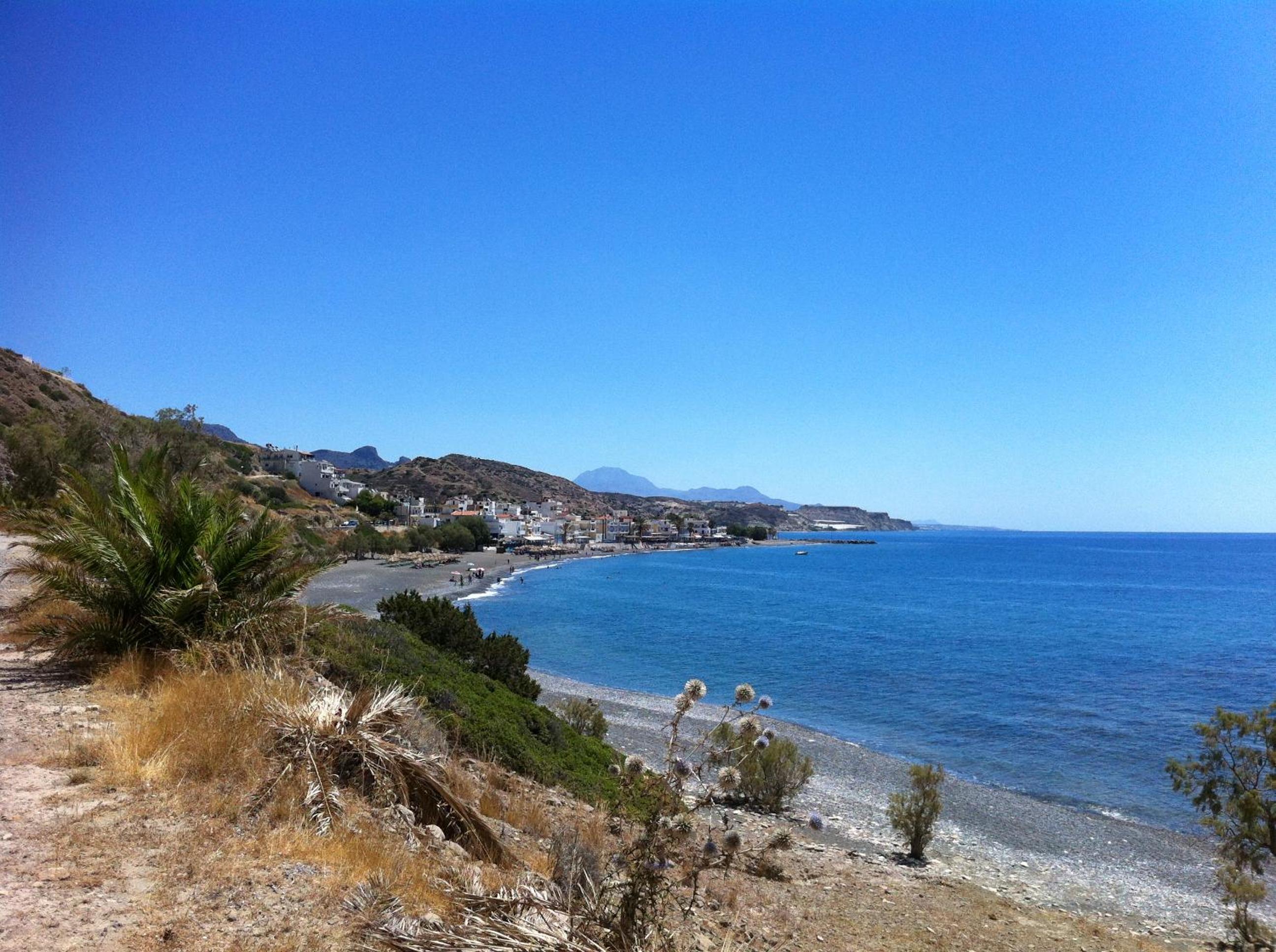 Photo 44