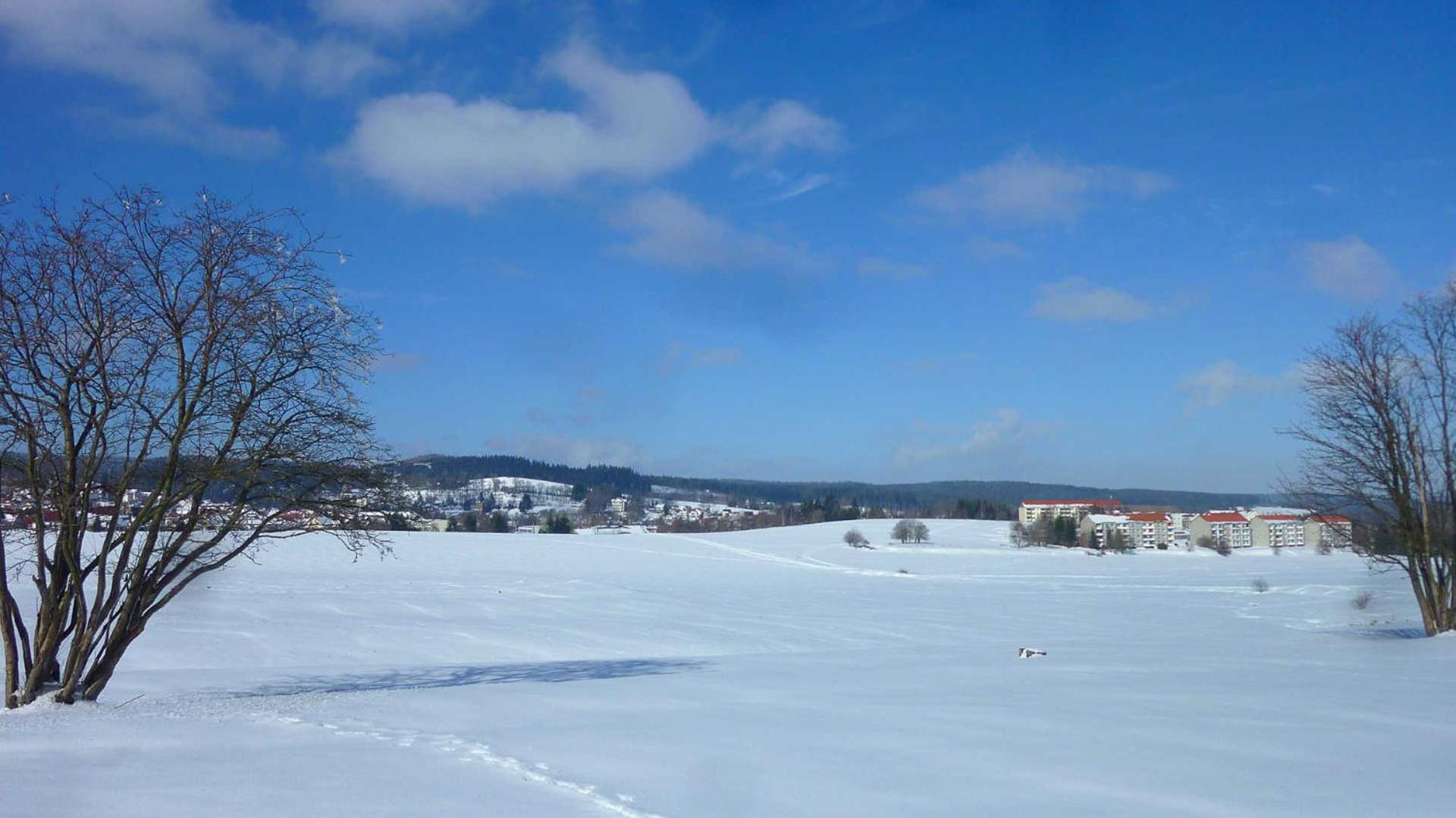 Ferienwohnung Rennsteigblick view 5