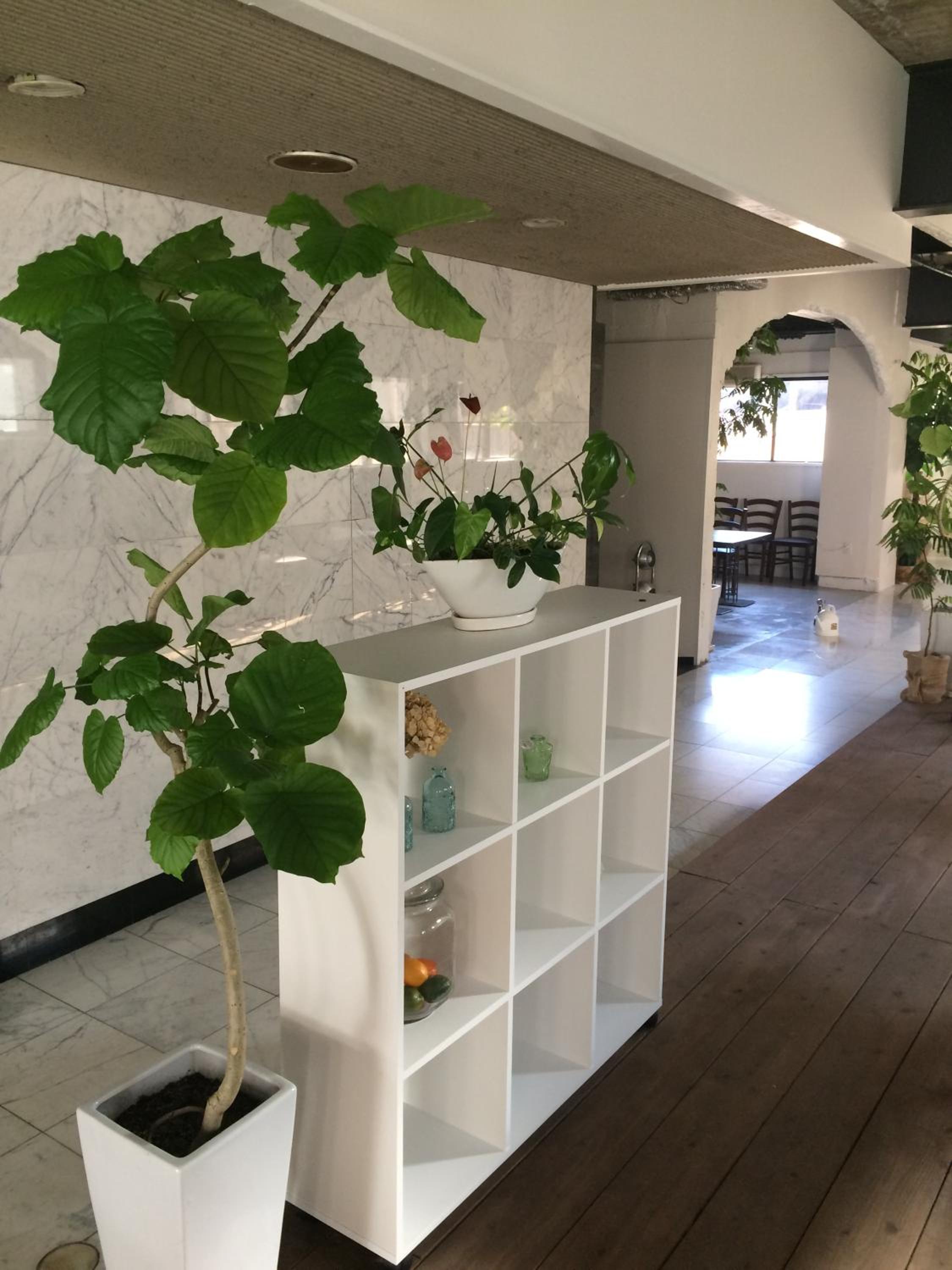 Guest House M104 Kagoshima
