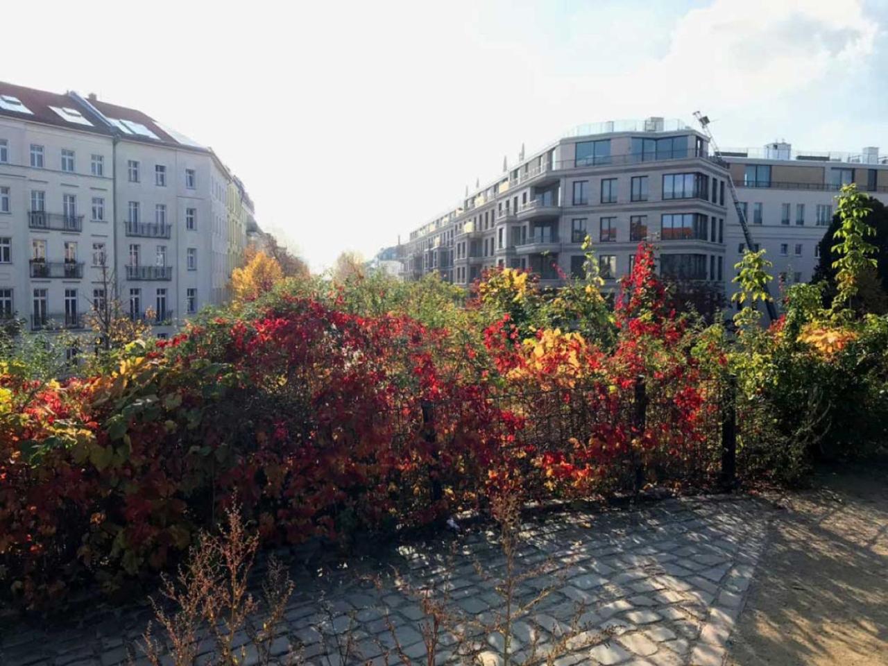 BonusFeature Apartments