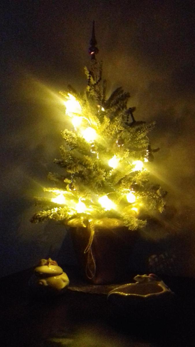 Photo 25
