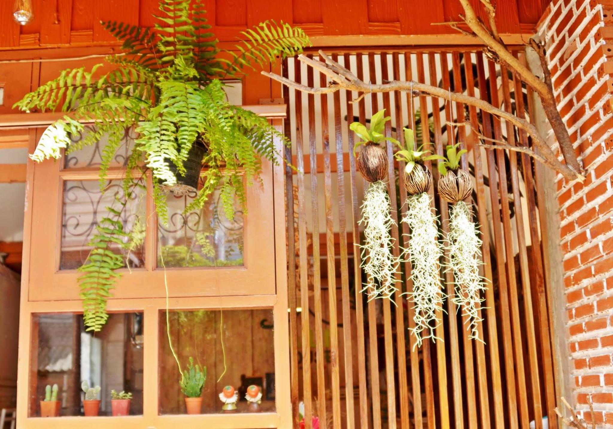 Pailin Guest House