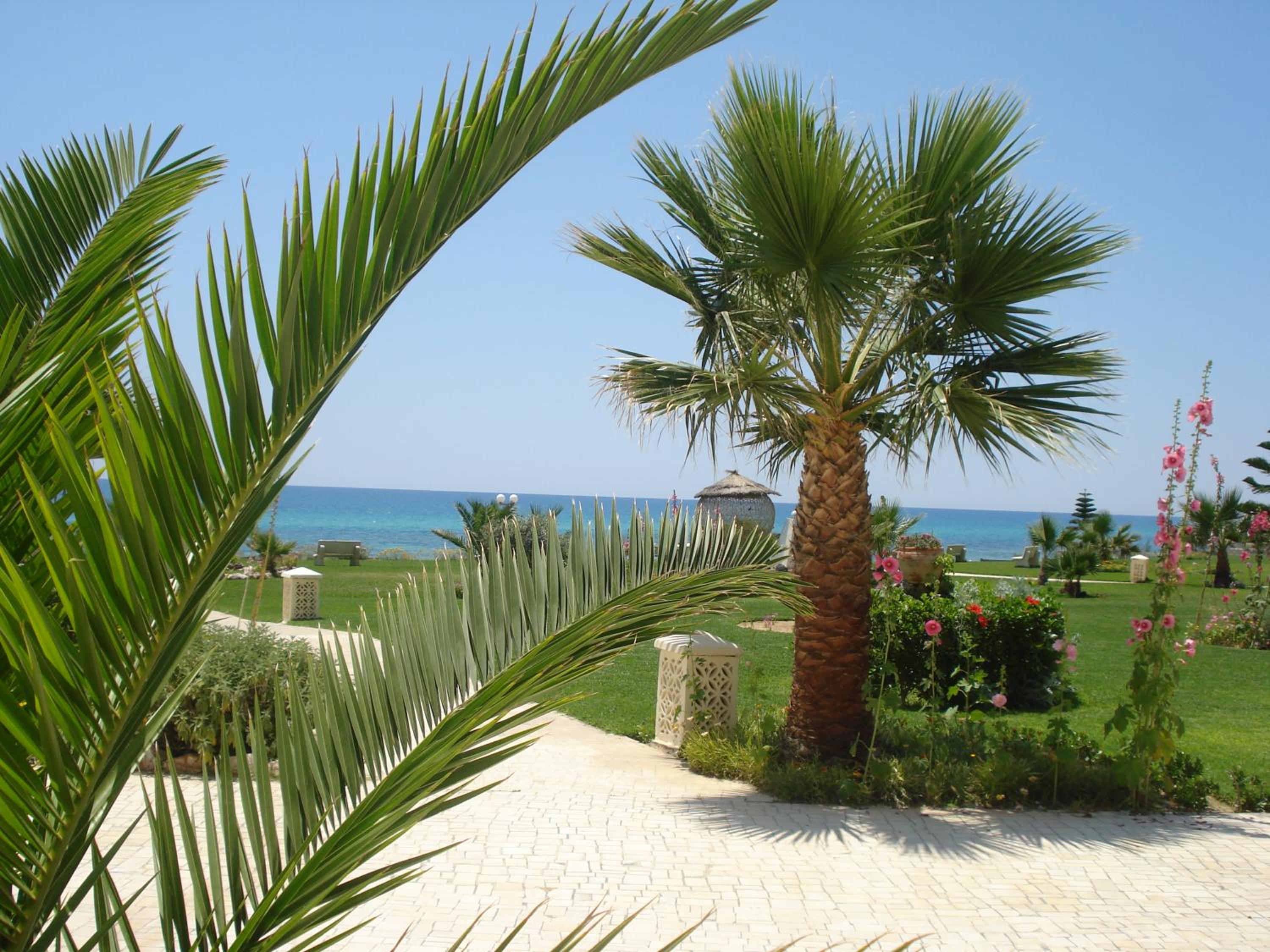B&B Cote D'azur Hammamet