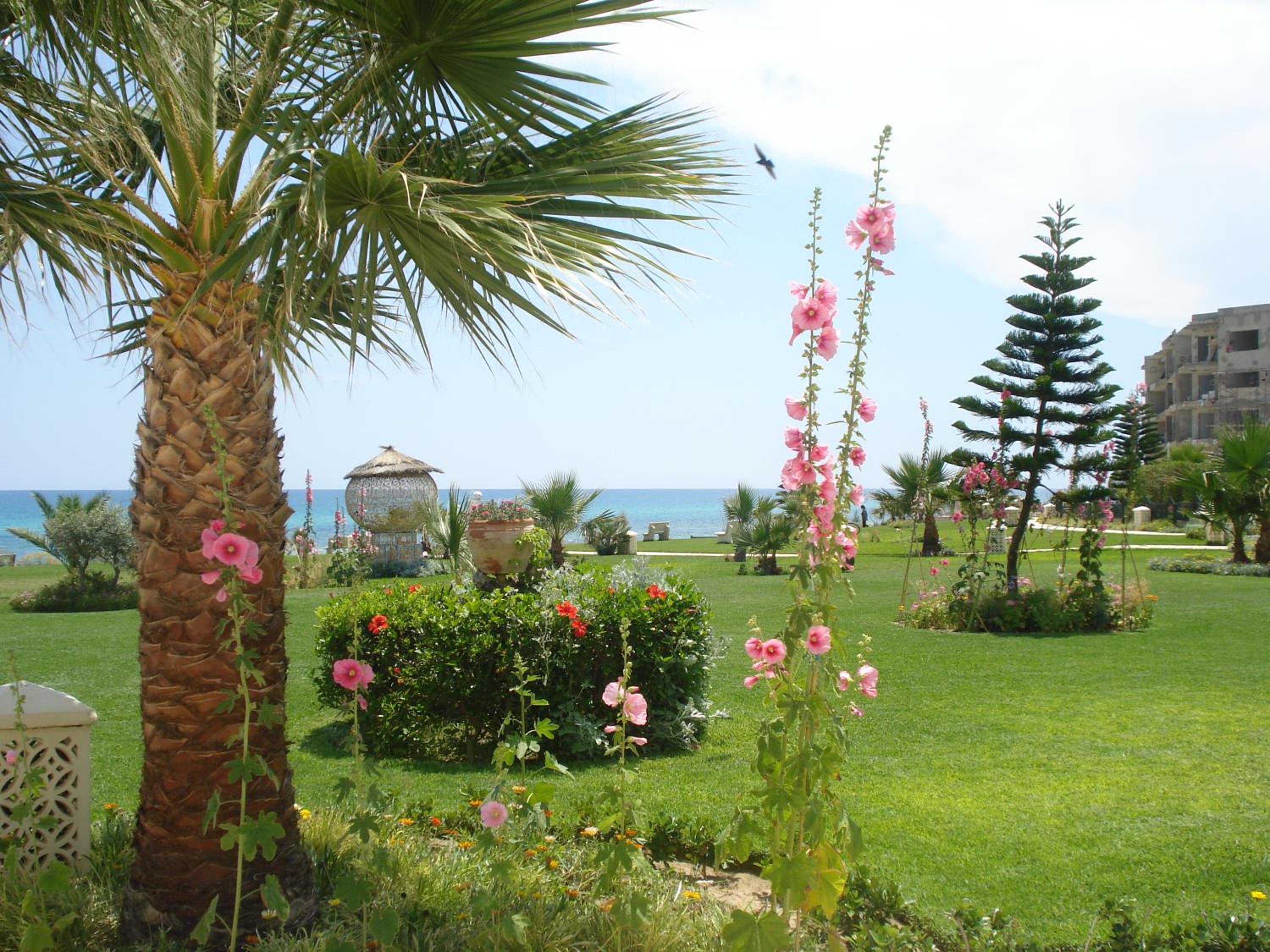 B&B Cote D'azur Hammamet