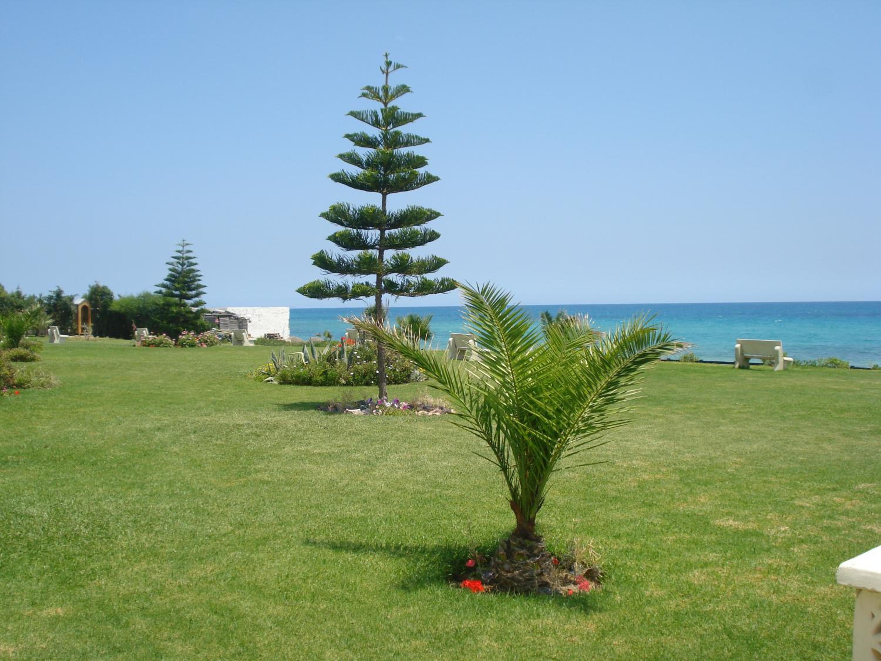 B&B Cote D'azur Hammamet