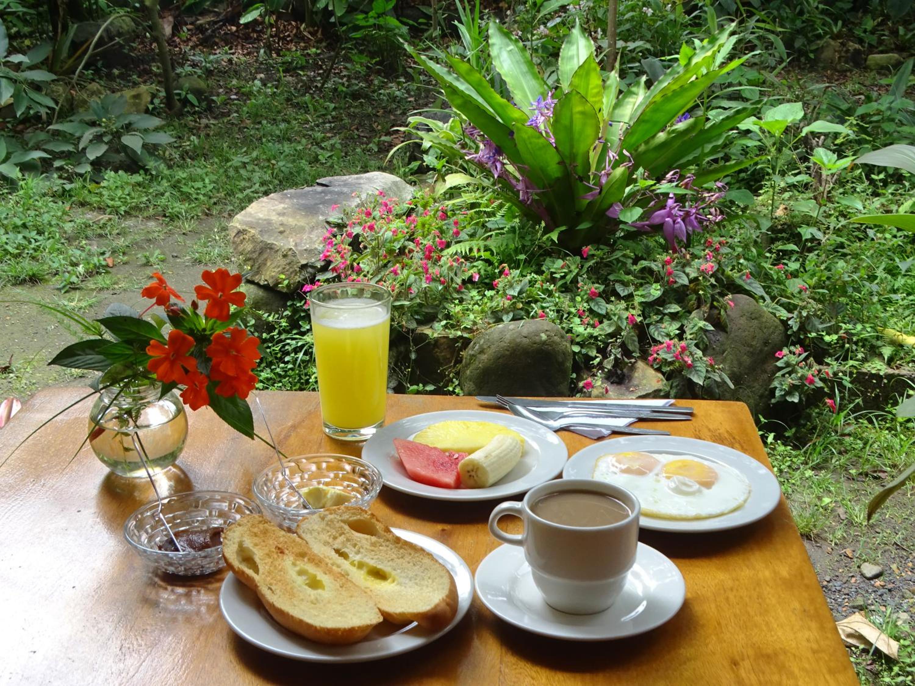 Cabañas Armonía y Jardín de Orquídeas