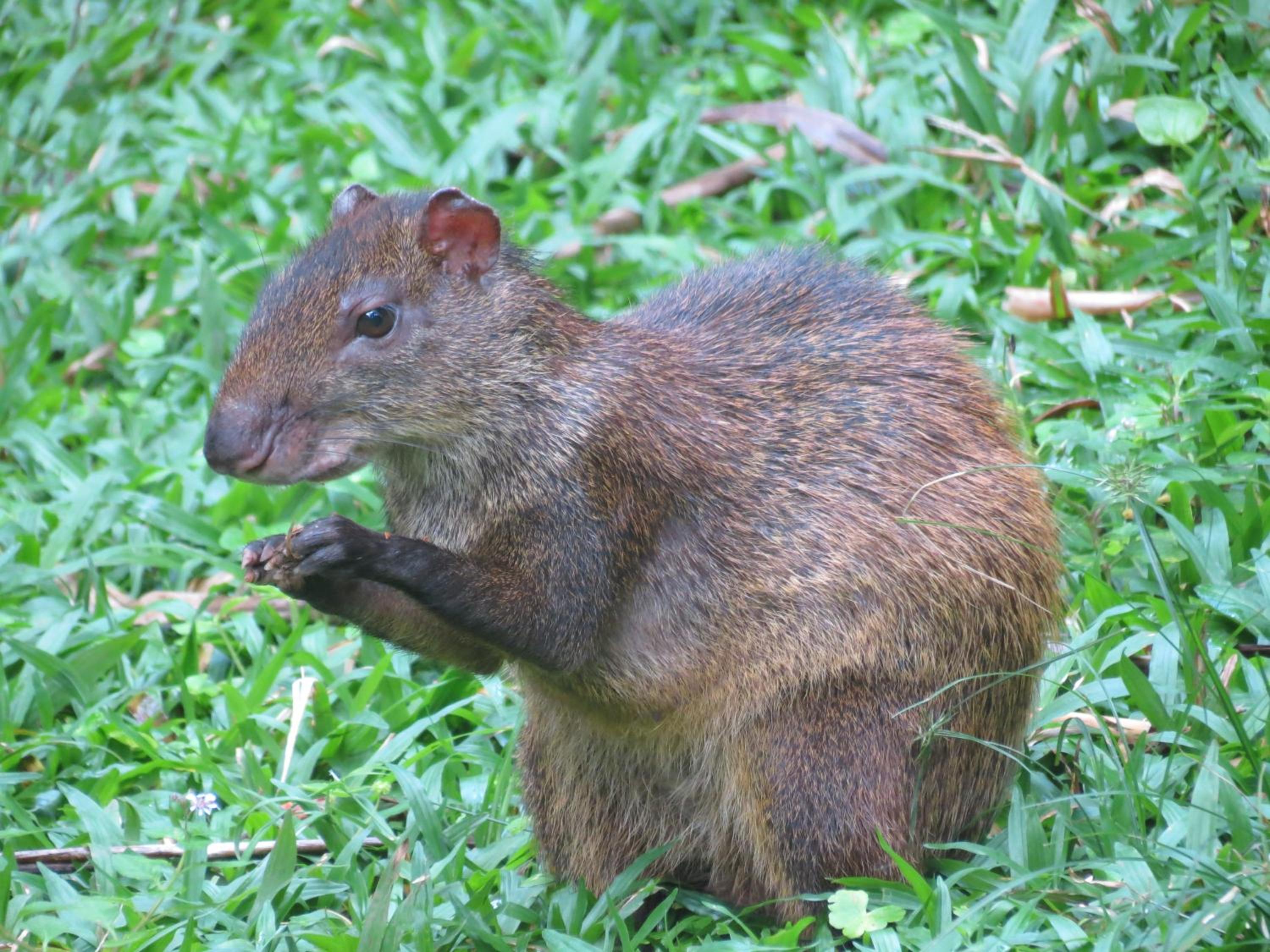 Photo 28