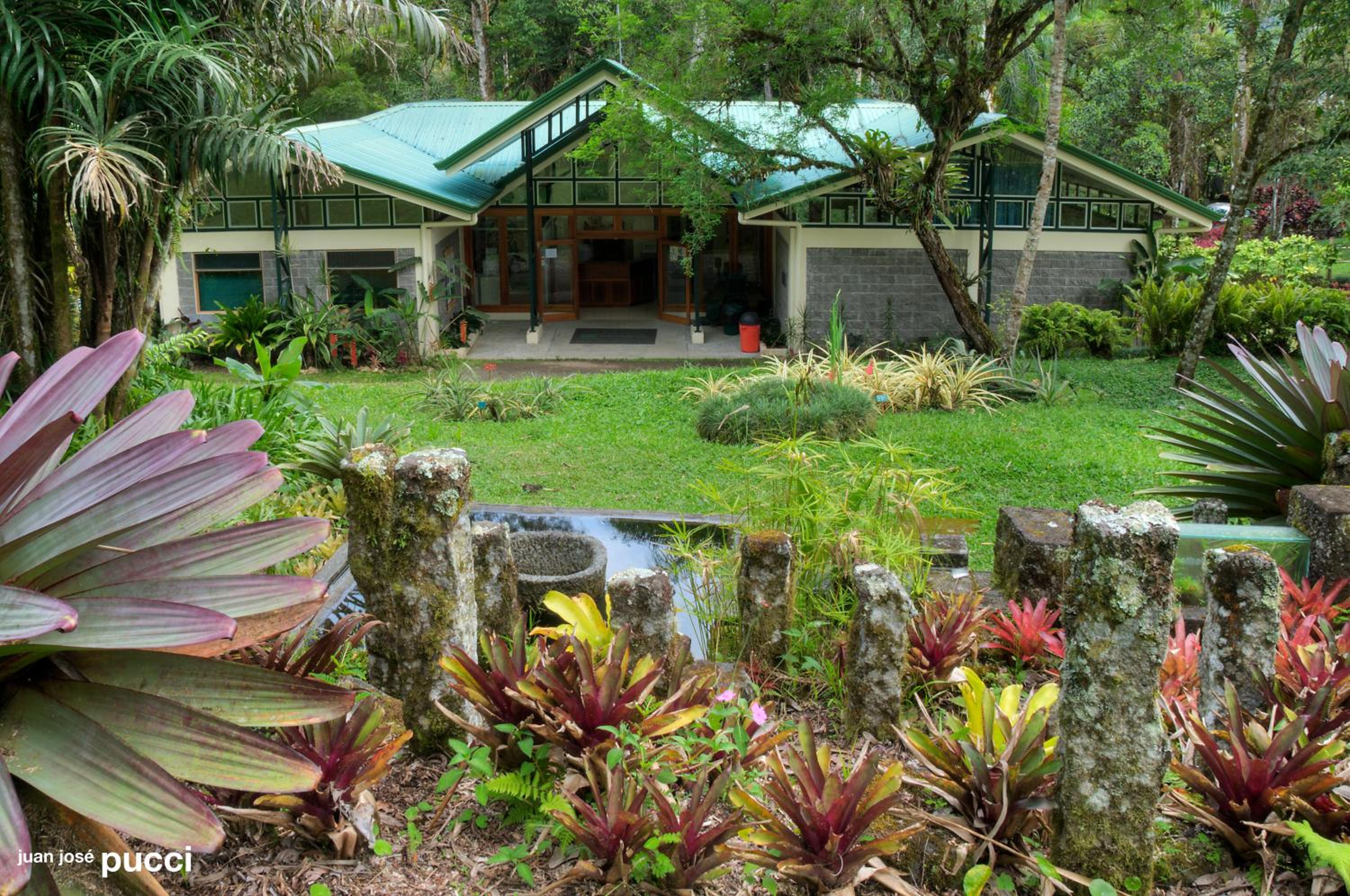 Estación Biológica Las Cruces y Jardín Botánico Wilson view 2
