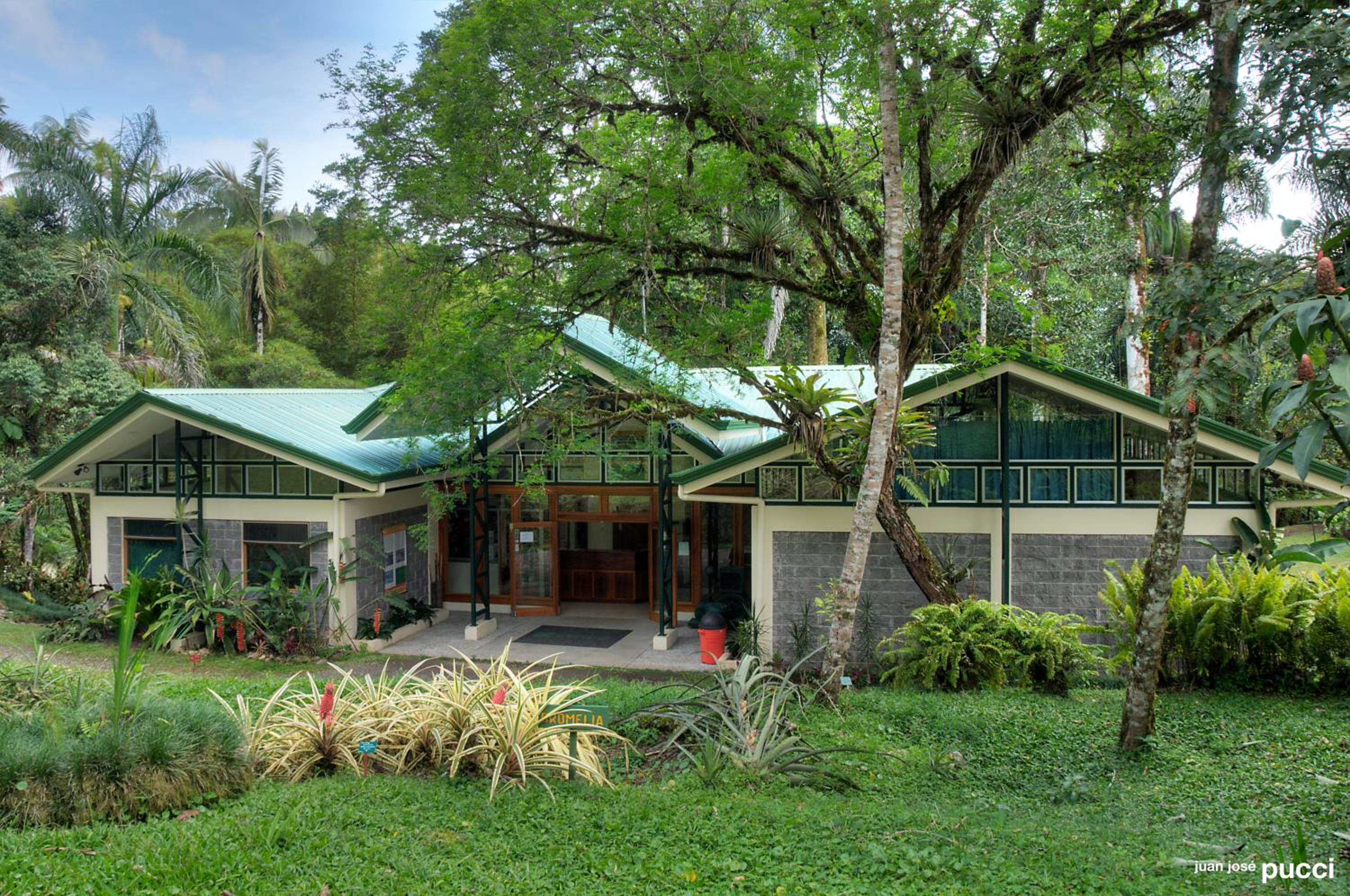 Estación Biológica Las Cruces y Jardín Botánico Wilson view 3