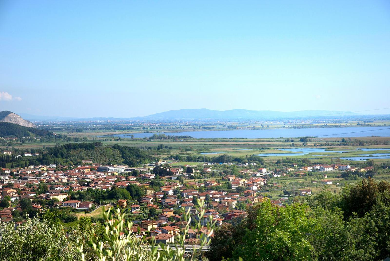 Photo 42