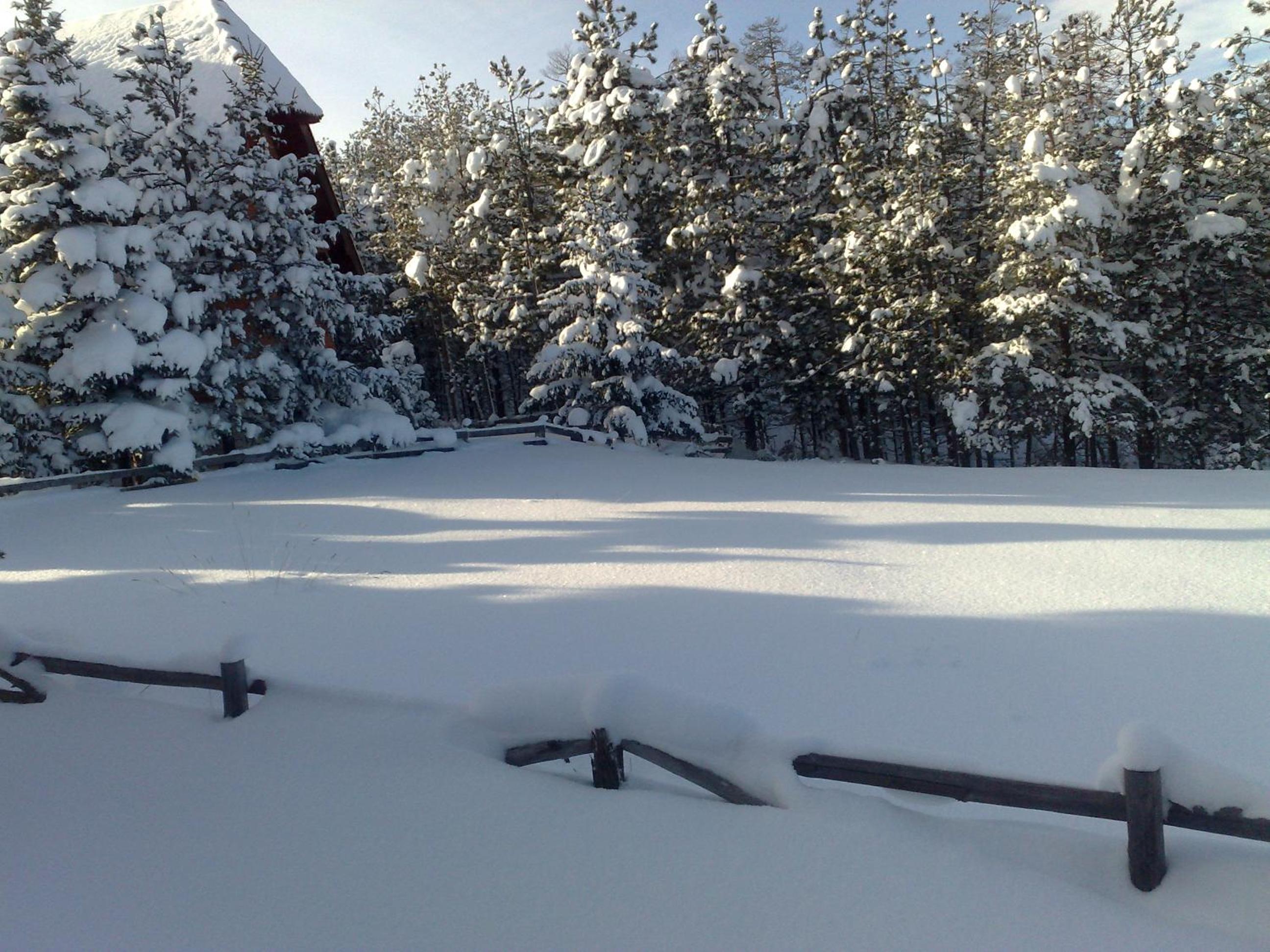 Photo 53