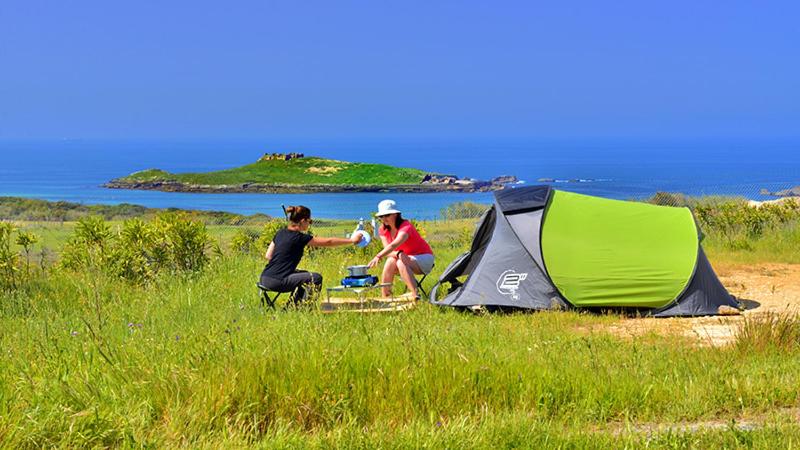 Parque de Campismo da Ilha do Pessegueiro