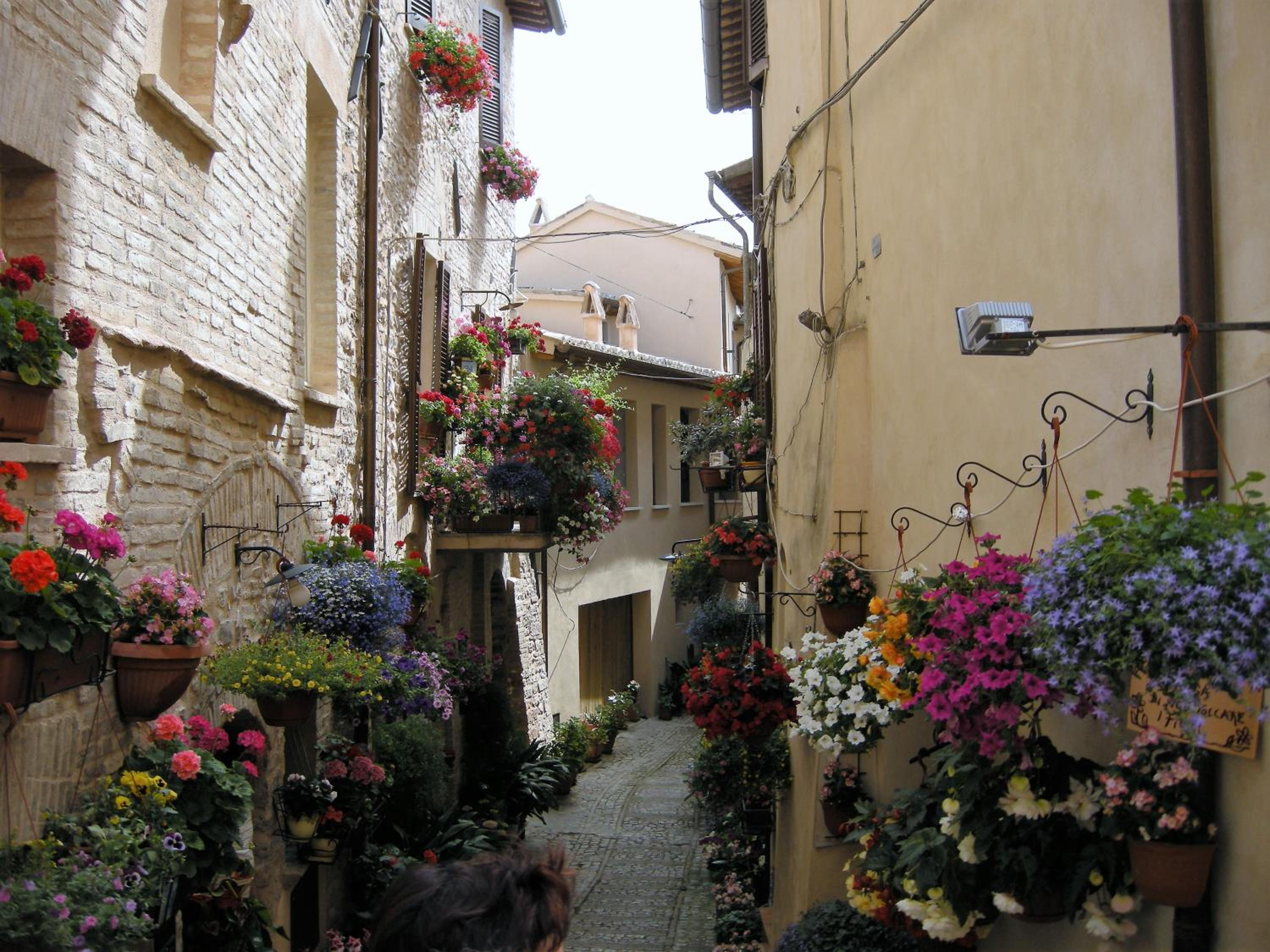 Photo 48