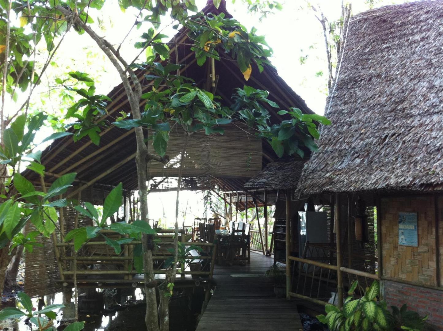 Photo 23