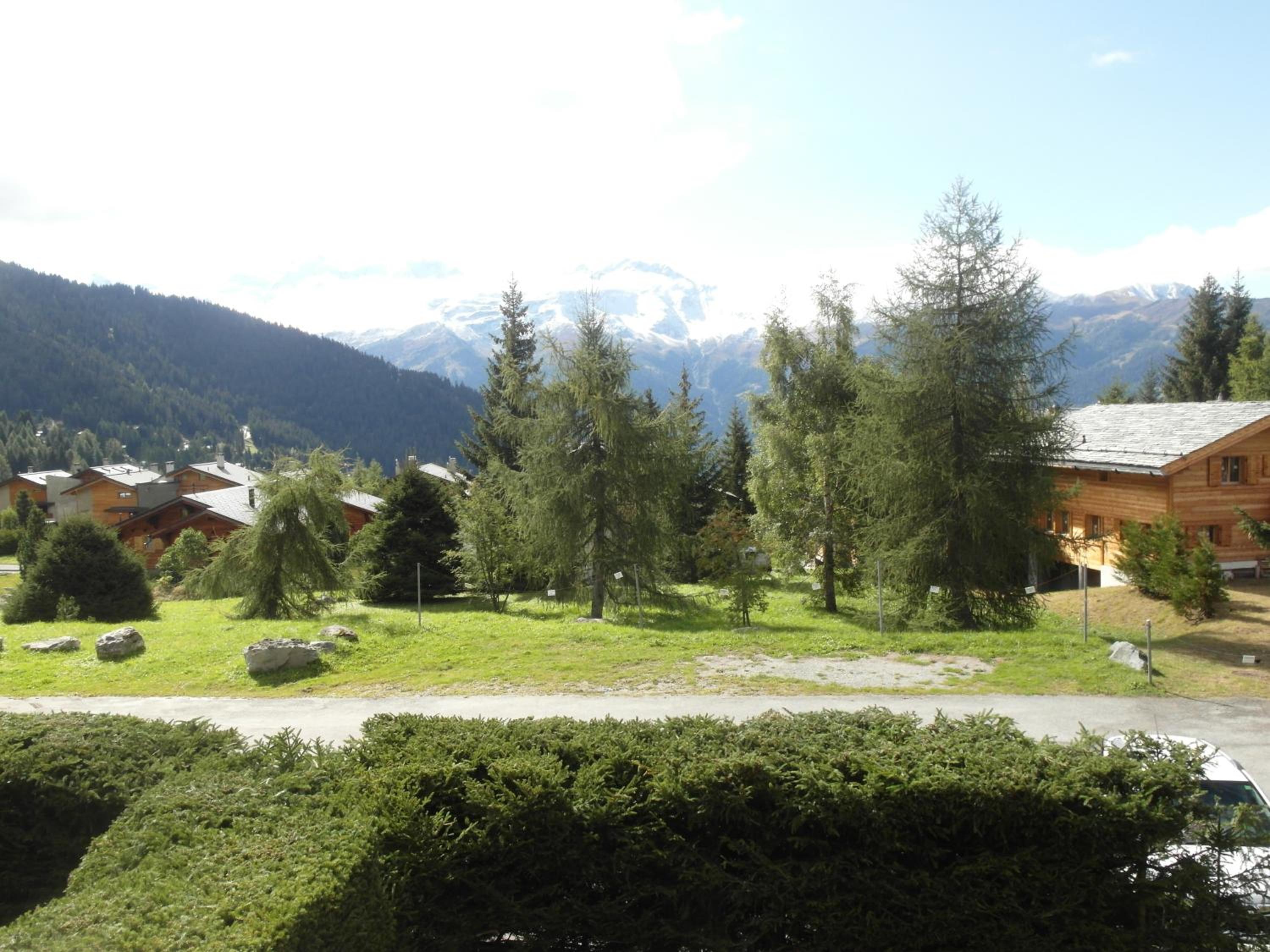 Photo 12