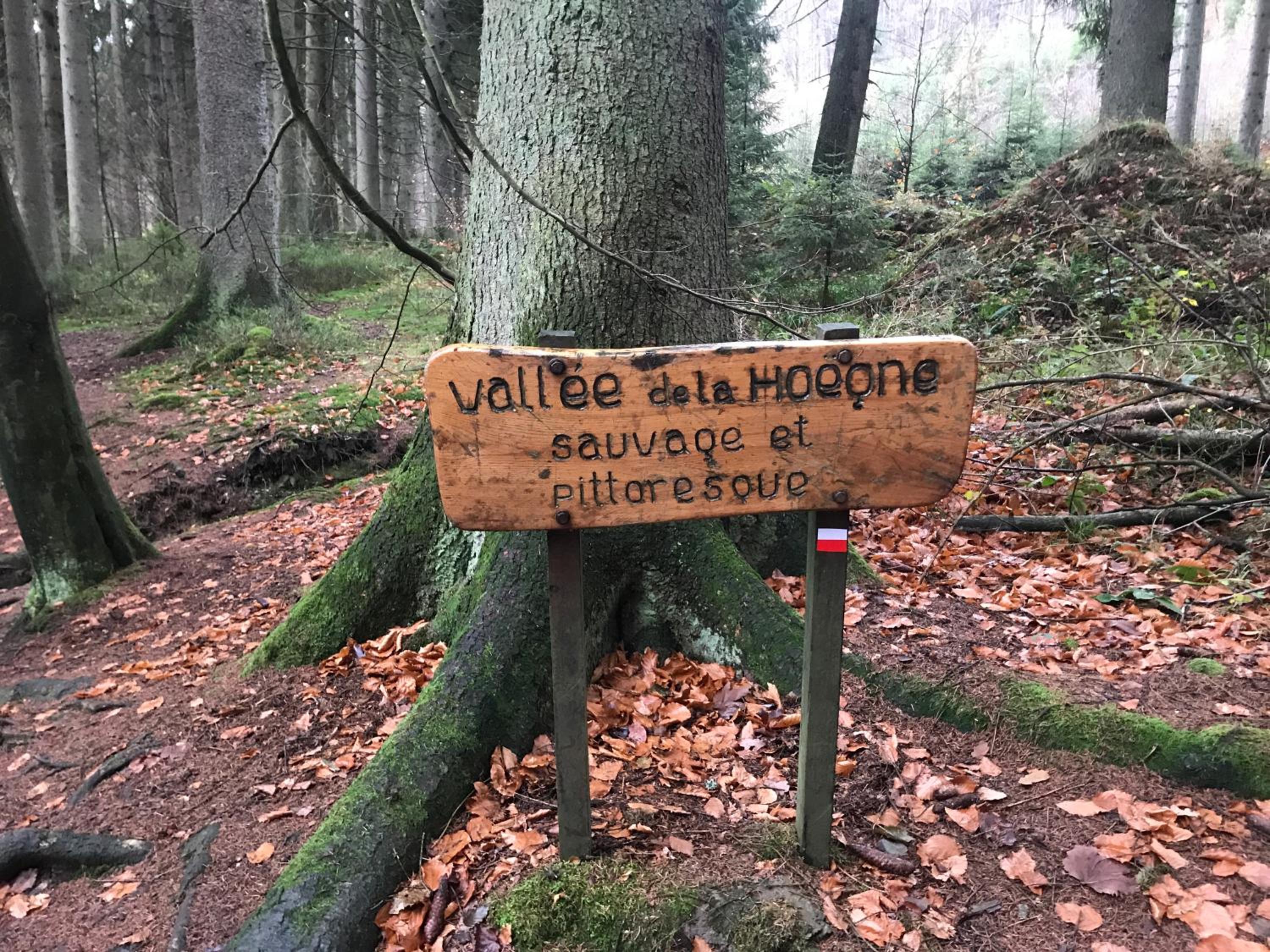 La Colombe