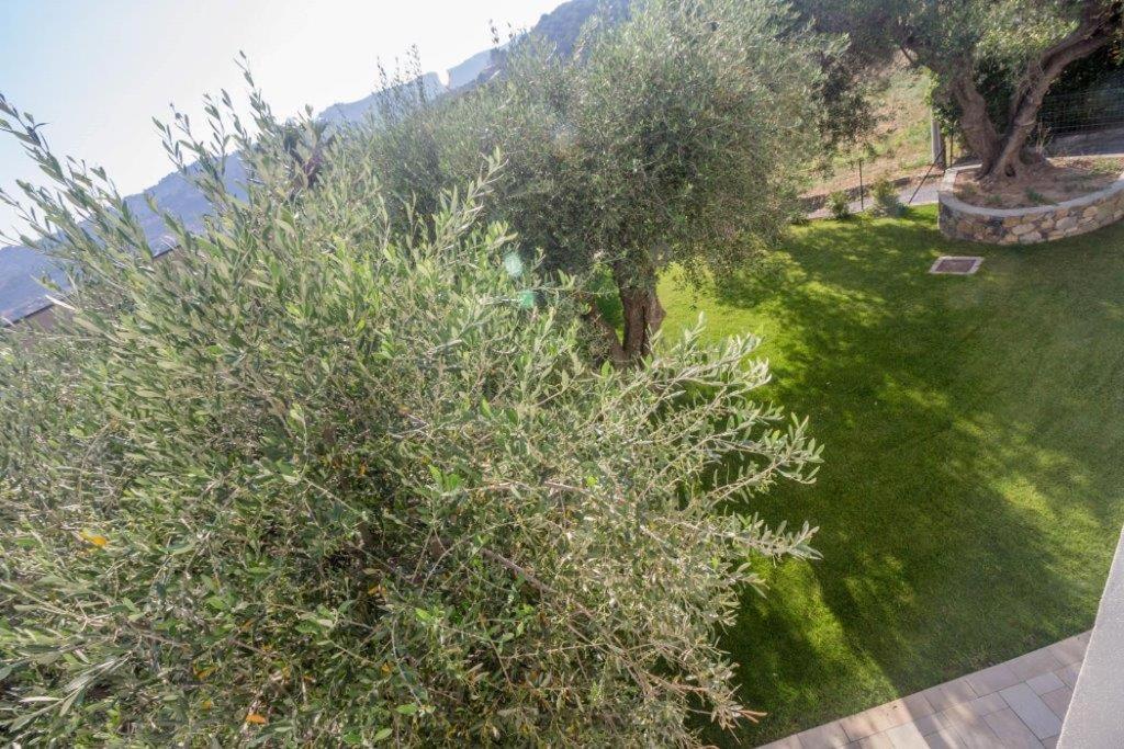 Photo 36