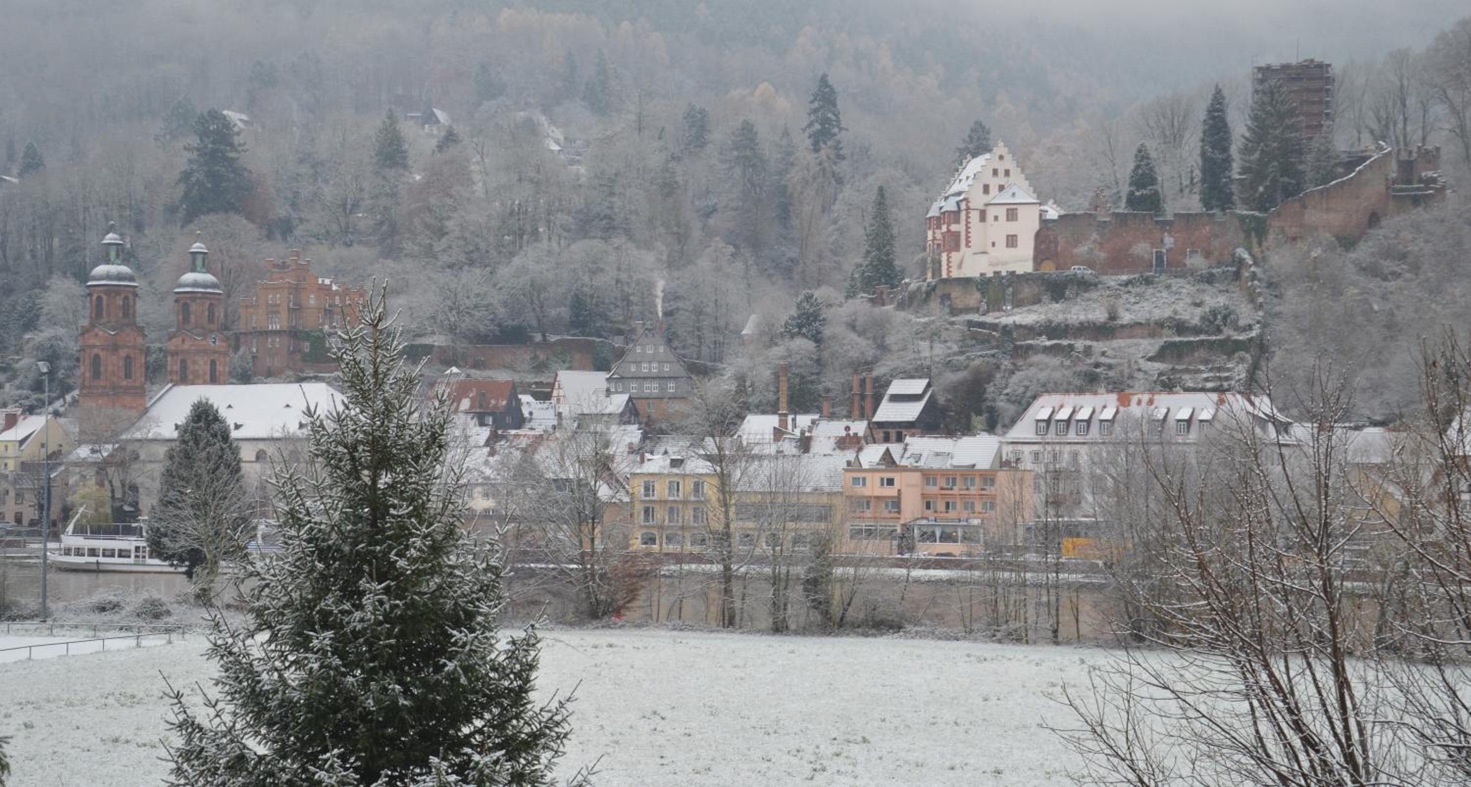 Panorama-Blick Miltenberg, 3 Pers., zentr., am Main, Terrasse, Bootverleih, P - Property Image 6