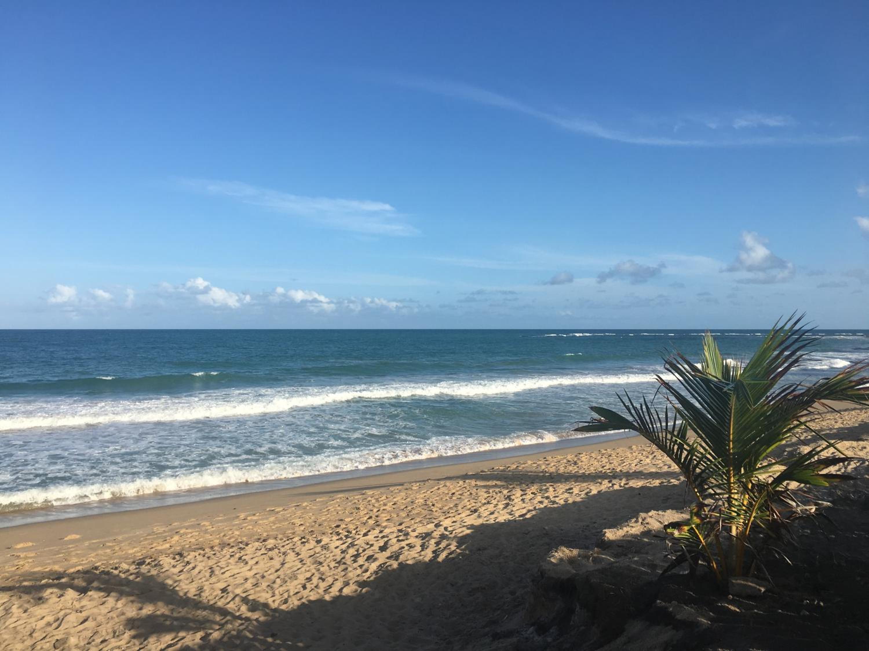 Apartamento Beach Class Eco Life