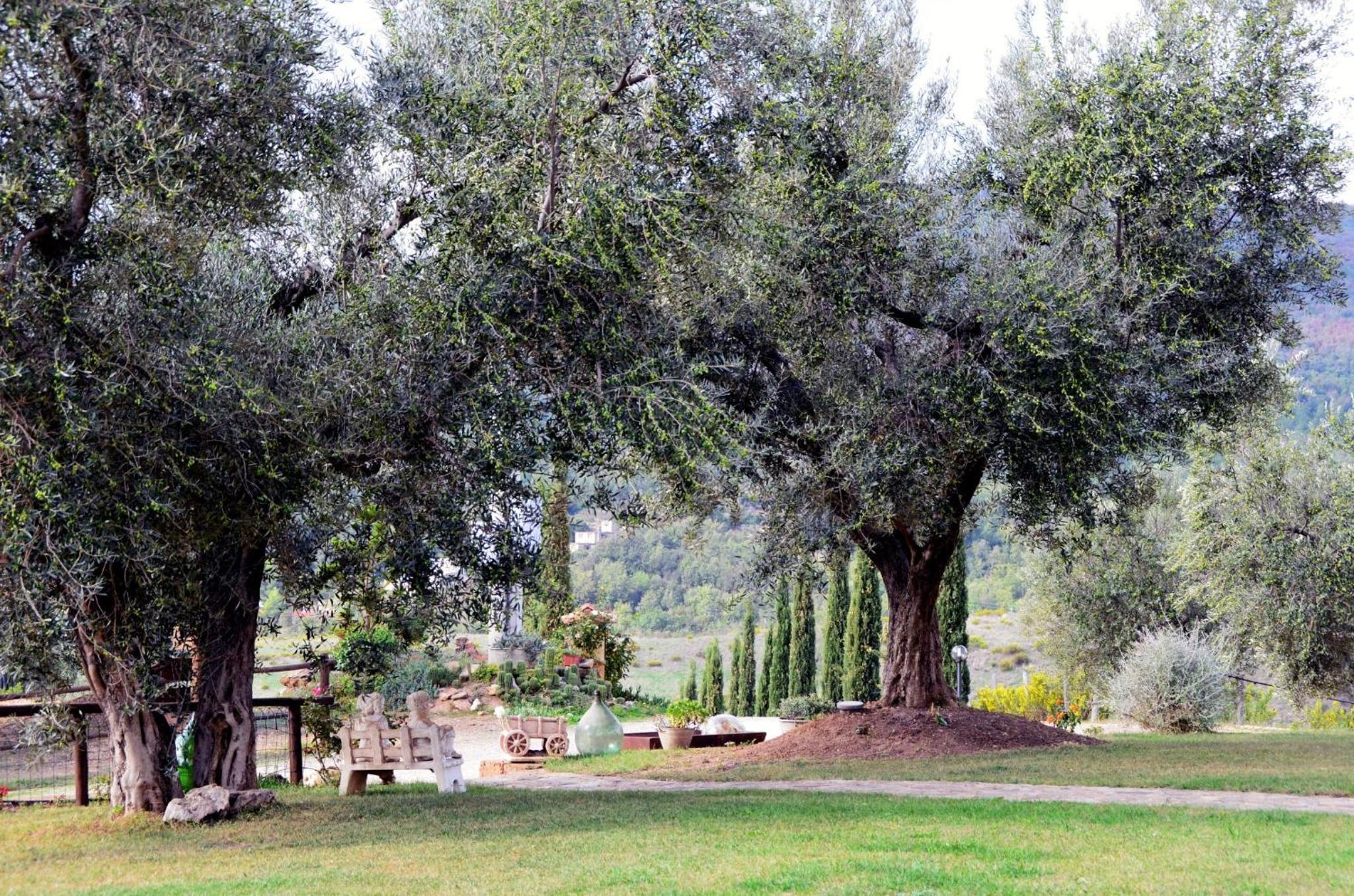 Agriturismo La Svolta