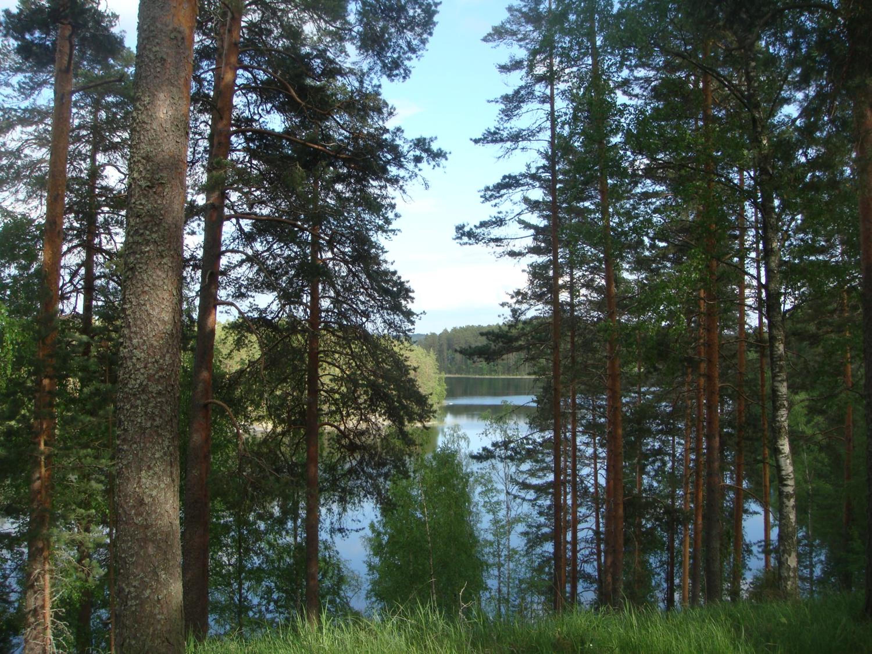 Photo 44