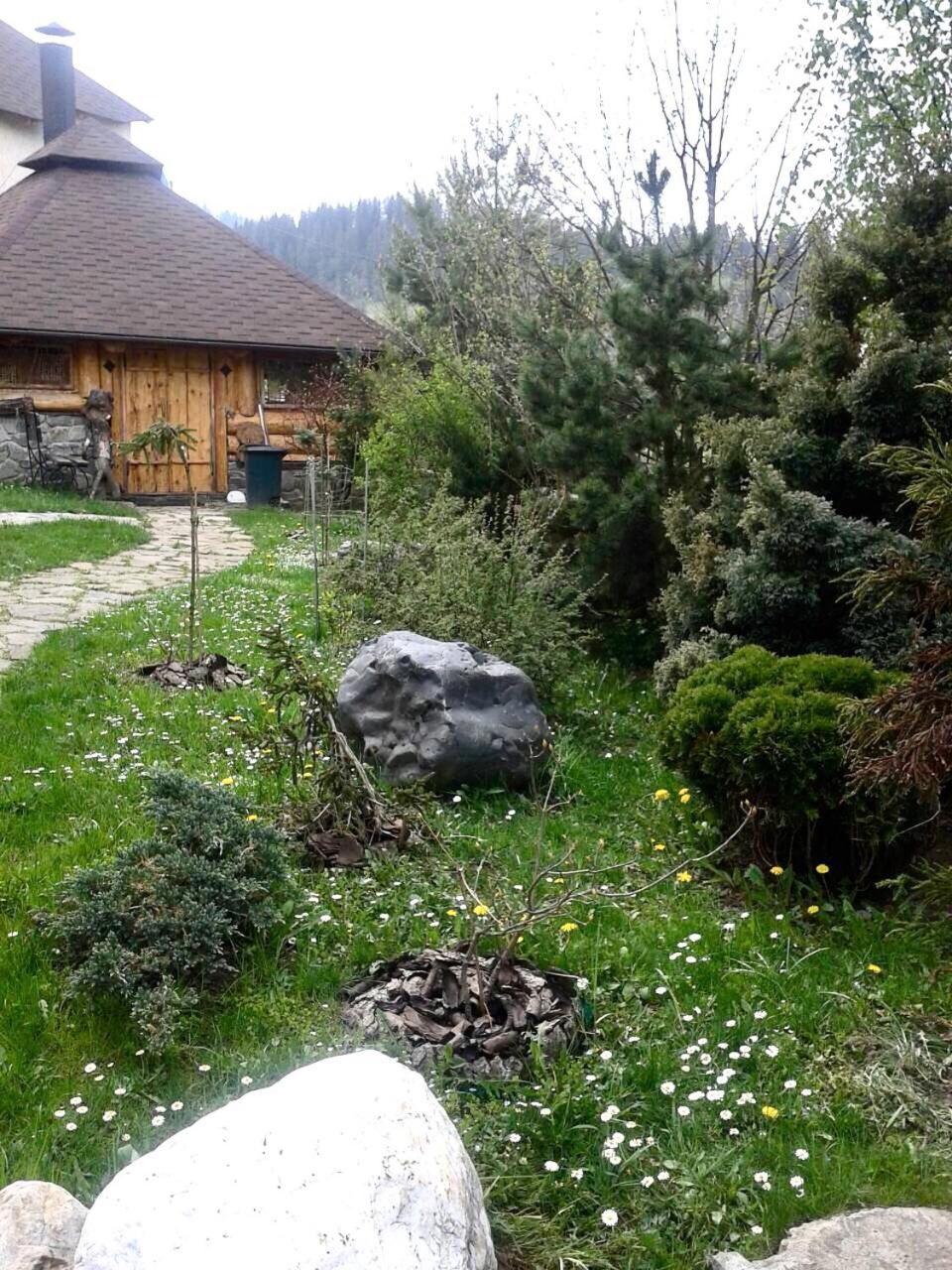 Photo 48